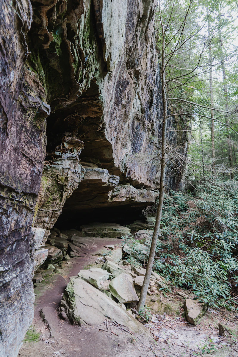 Rocky forest trail running beneath an overhanging limestone cliff with a shallow cave