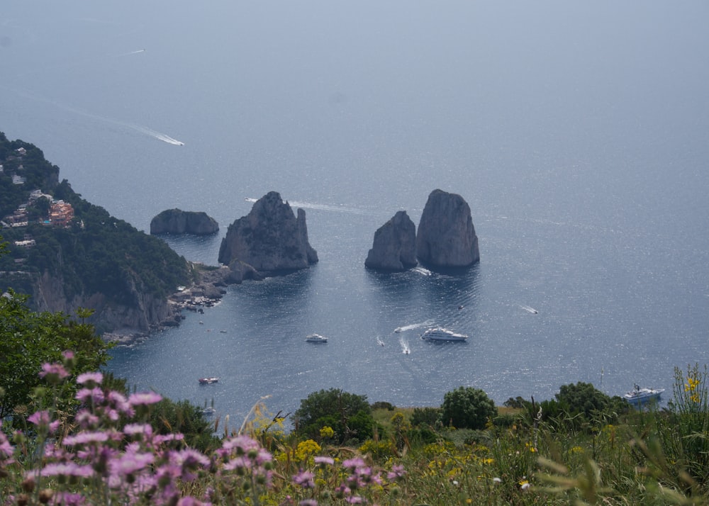 a body of water surrounded by mountains and flowers