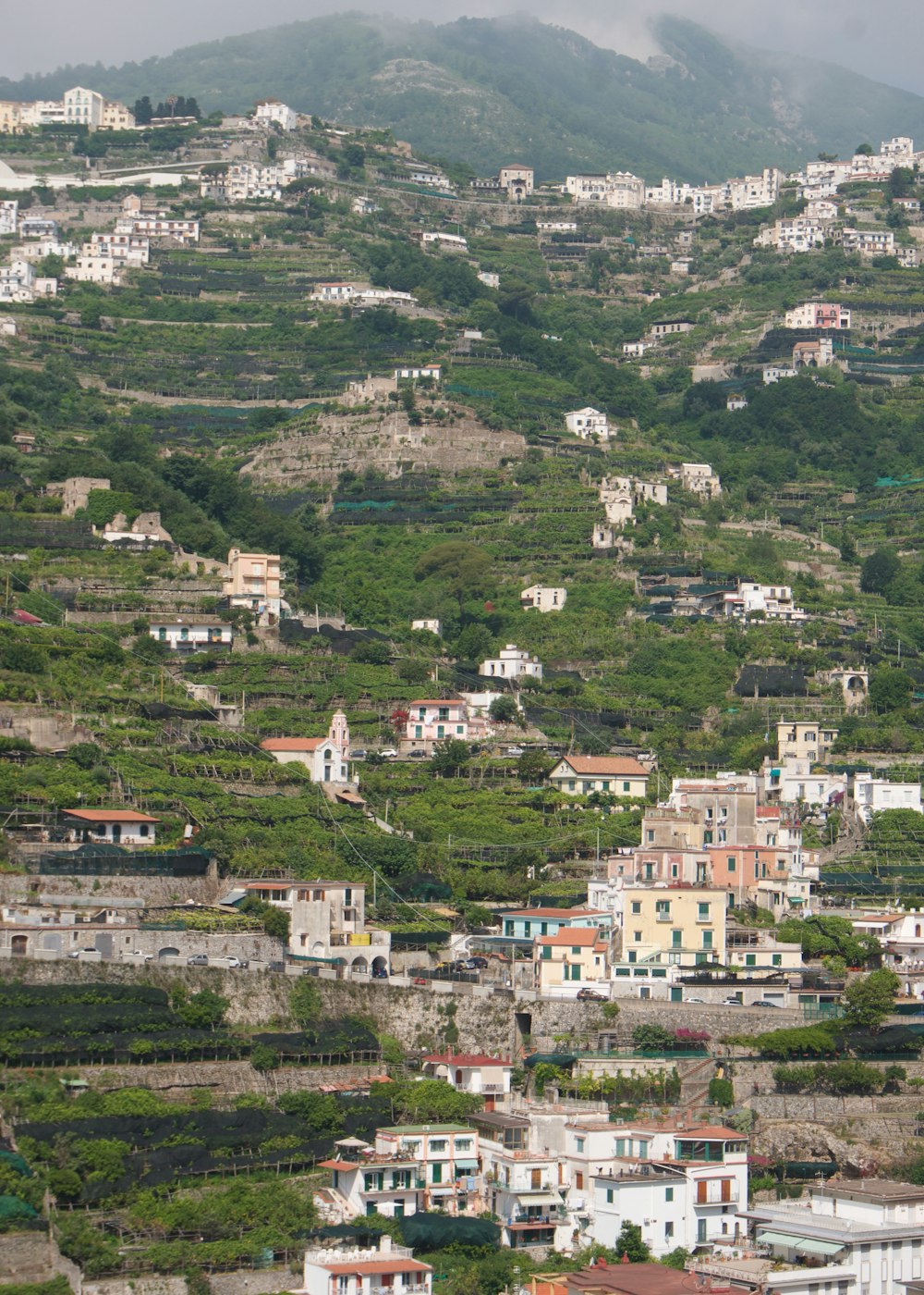 a view of a city with a mountain in the background