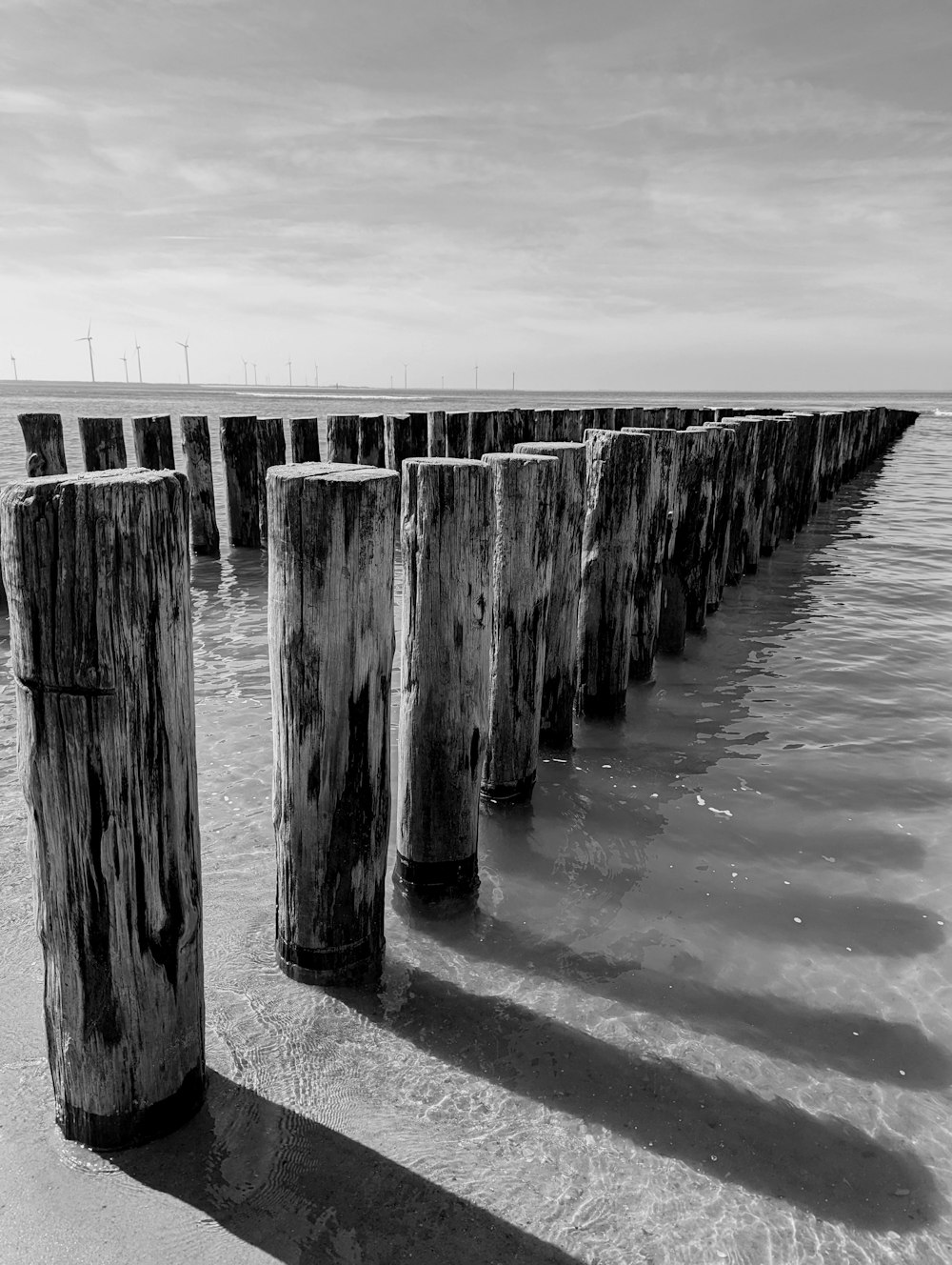 Una foto in bianco e nero di pali di legno nell'acqua