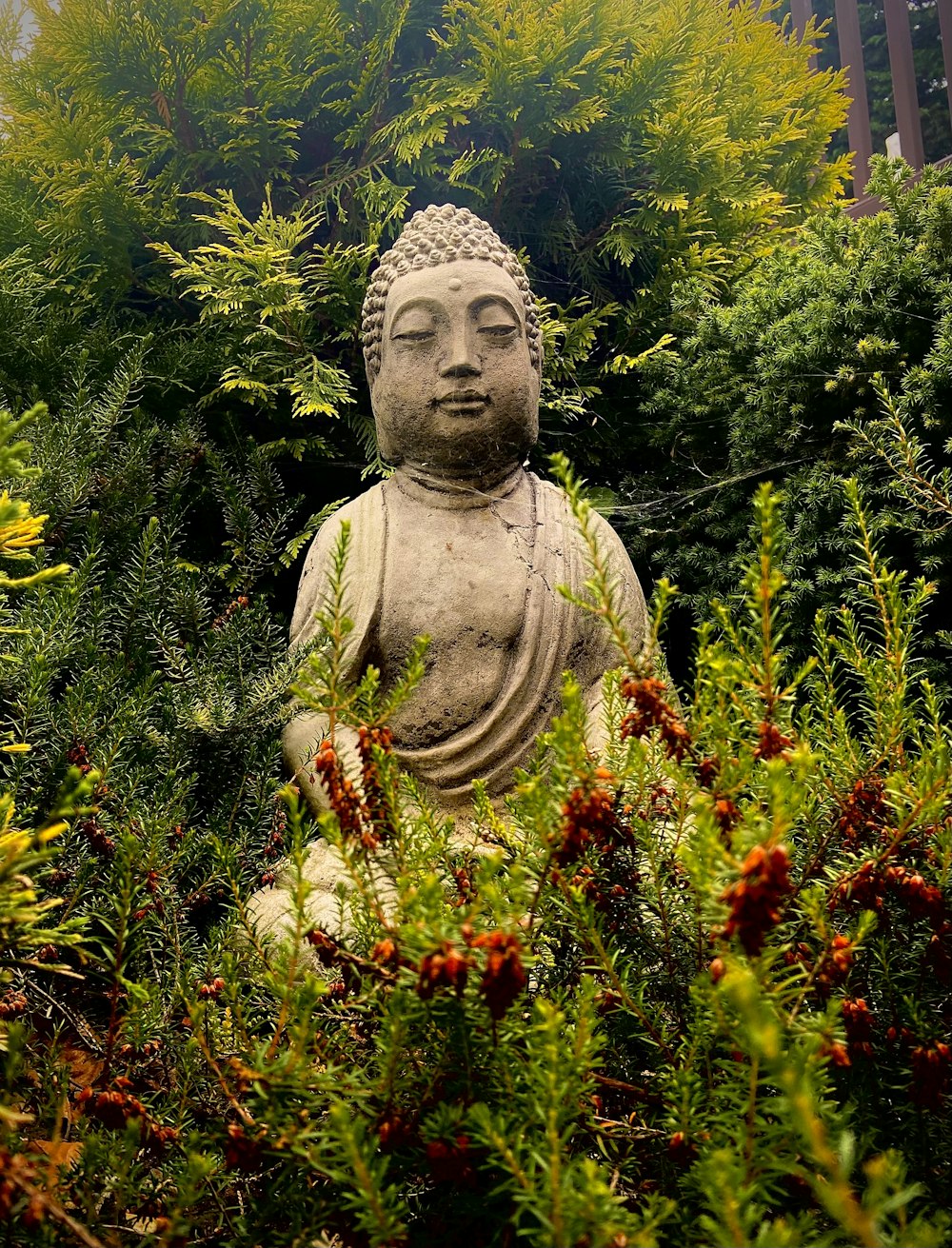 a buddha statue sitting in the middle of a forest