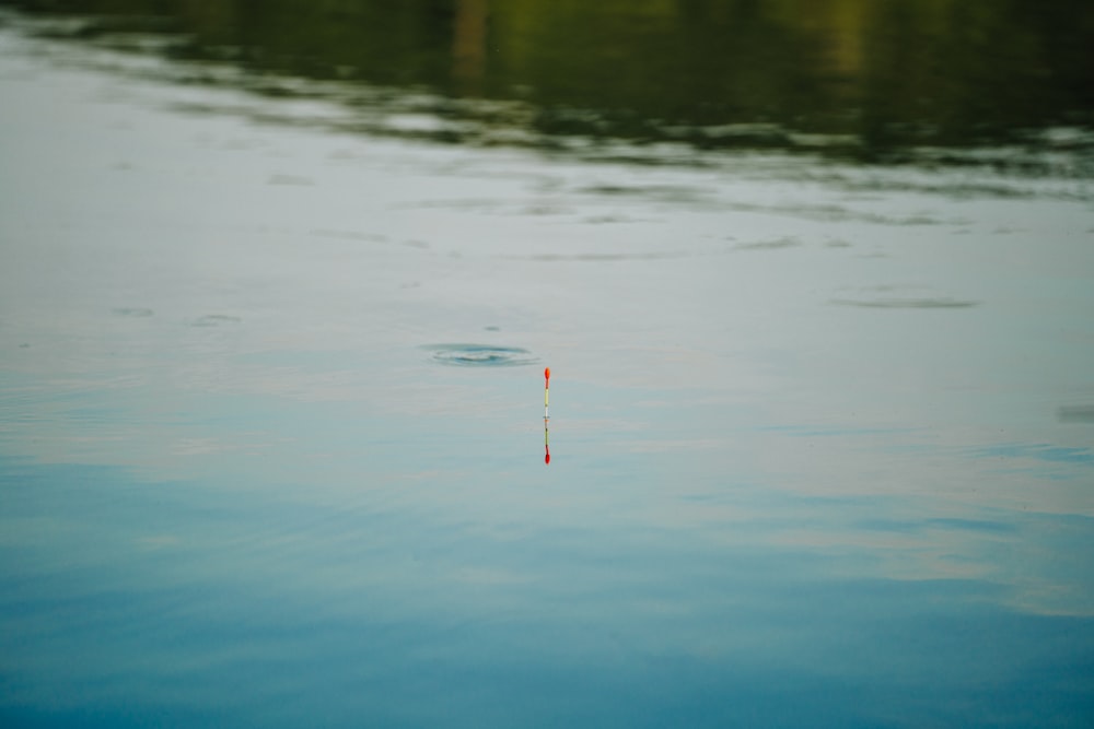 a small red object floating on top of a body of water