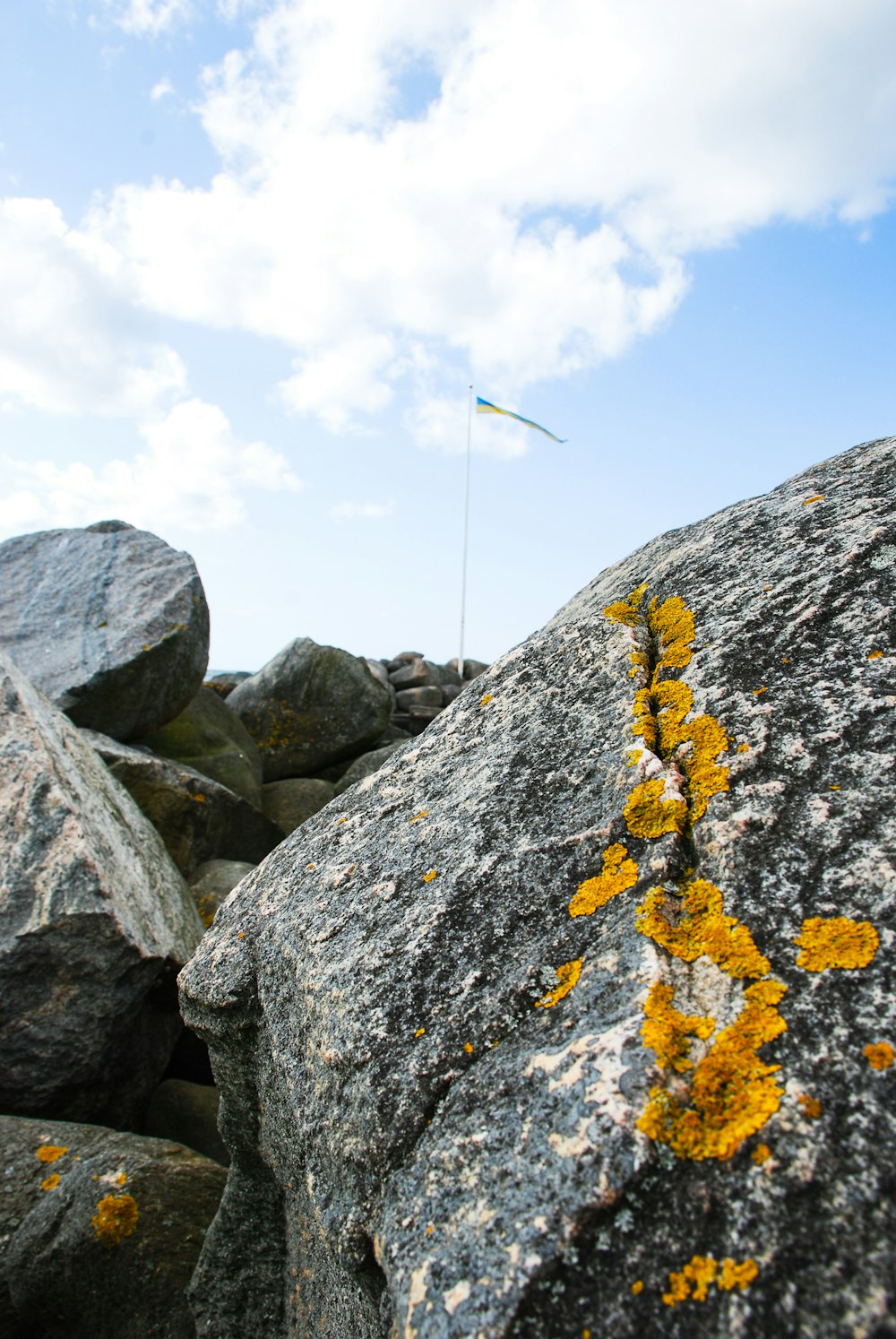 a rock with yellow moss growing on it