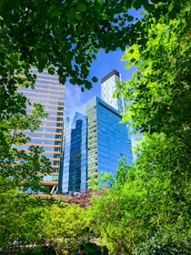 a park with a bench, trees, and buildings in the background