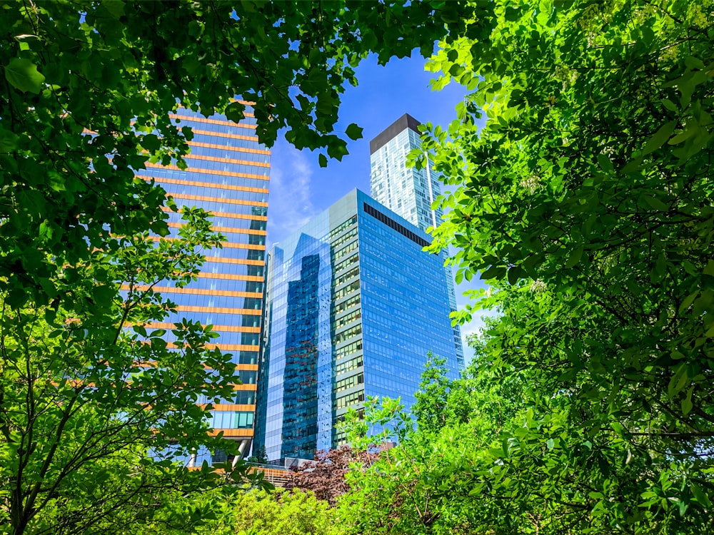 a very tall building surrounded by trees and bushes