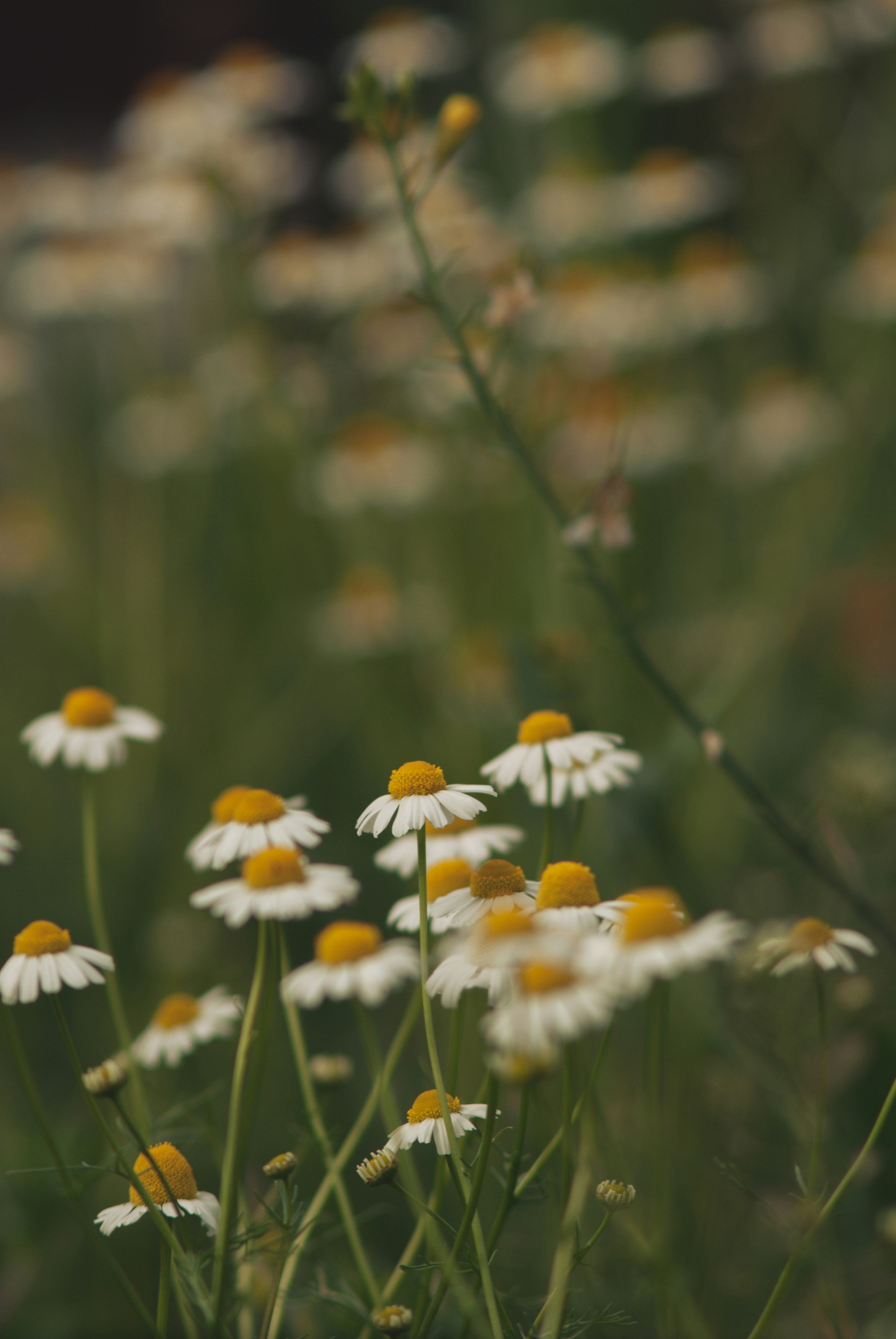 Photo by 3467634mikolaj