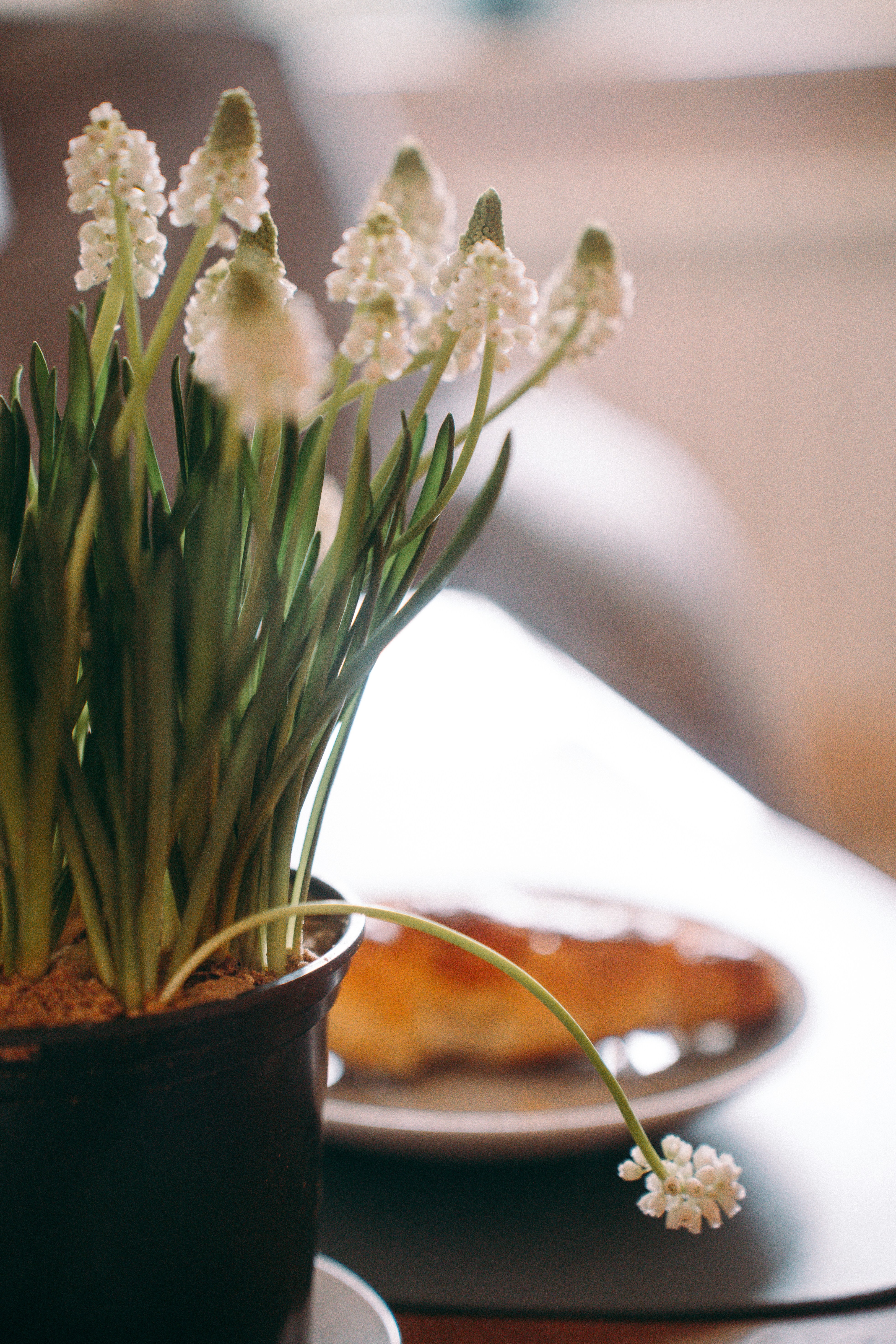 Photo by dashakrotiphoto