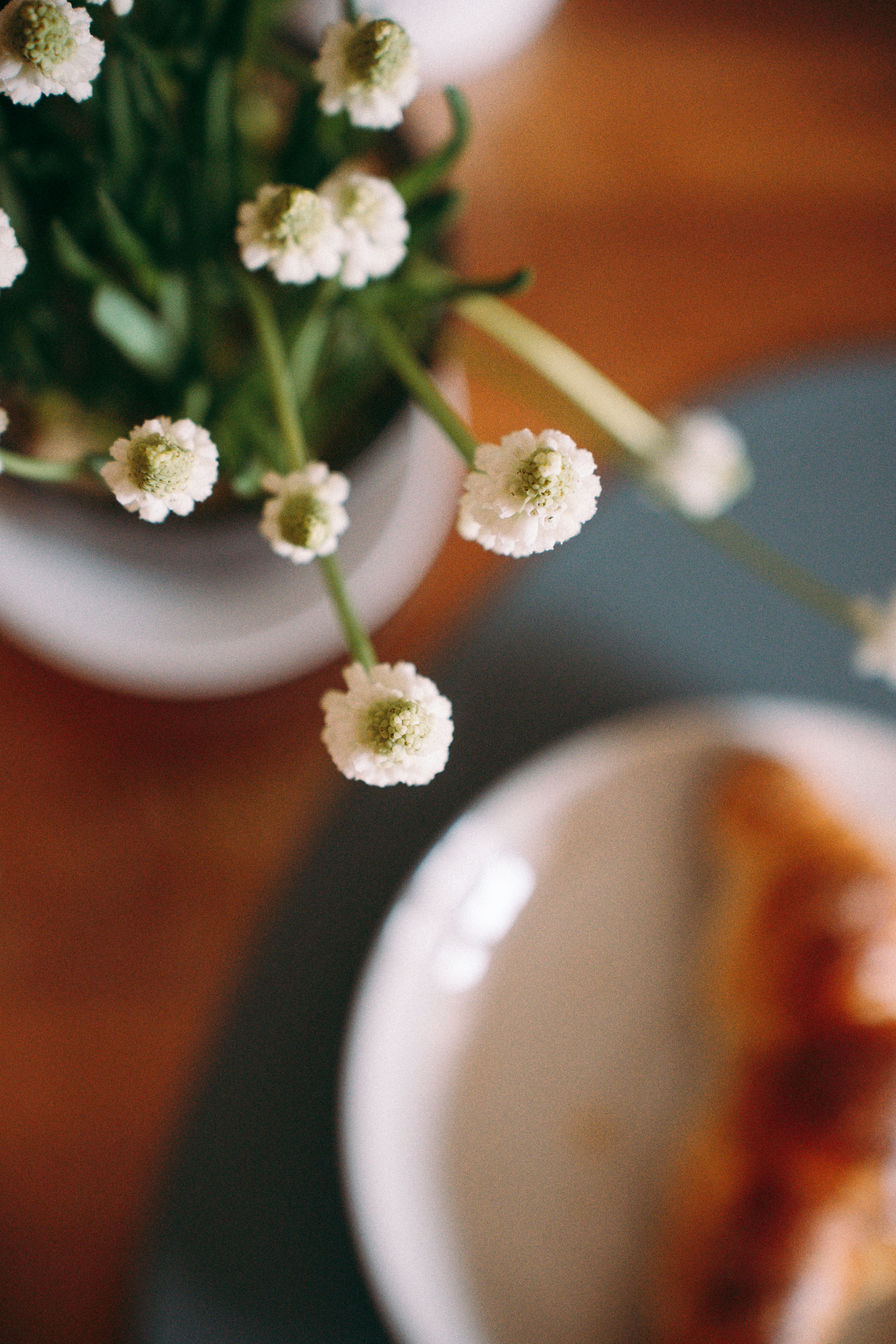 Photo by dashakrotiphoto