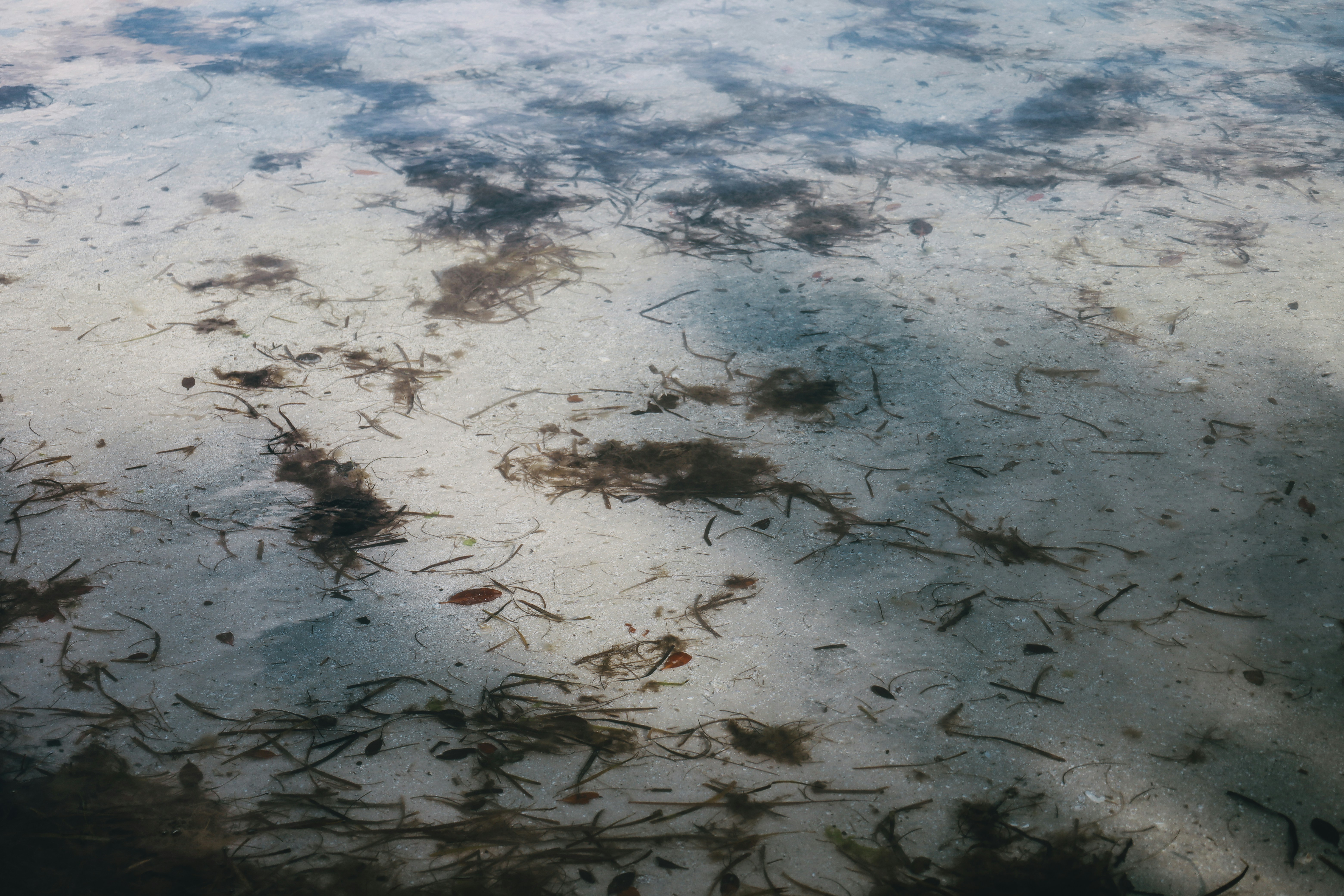 Photo by rosemarymedia