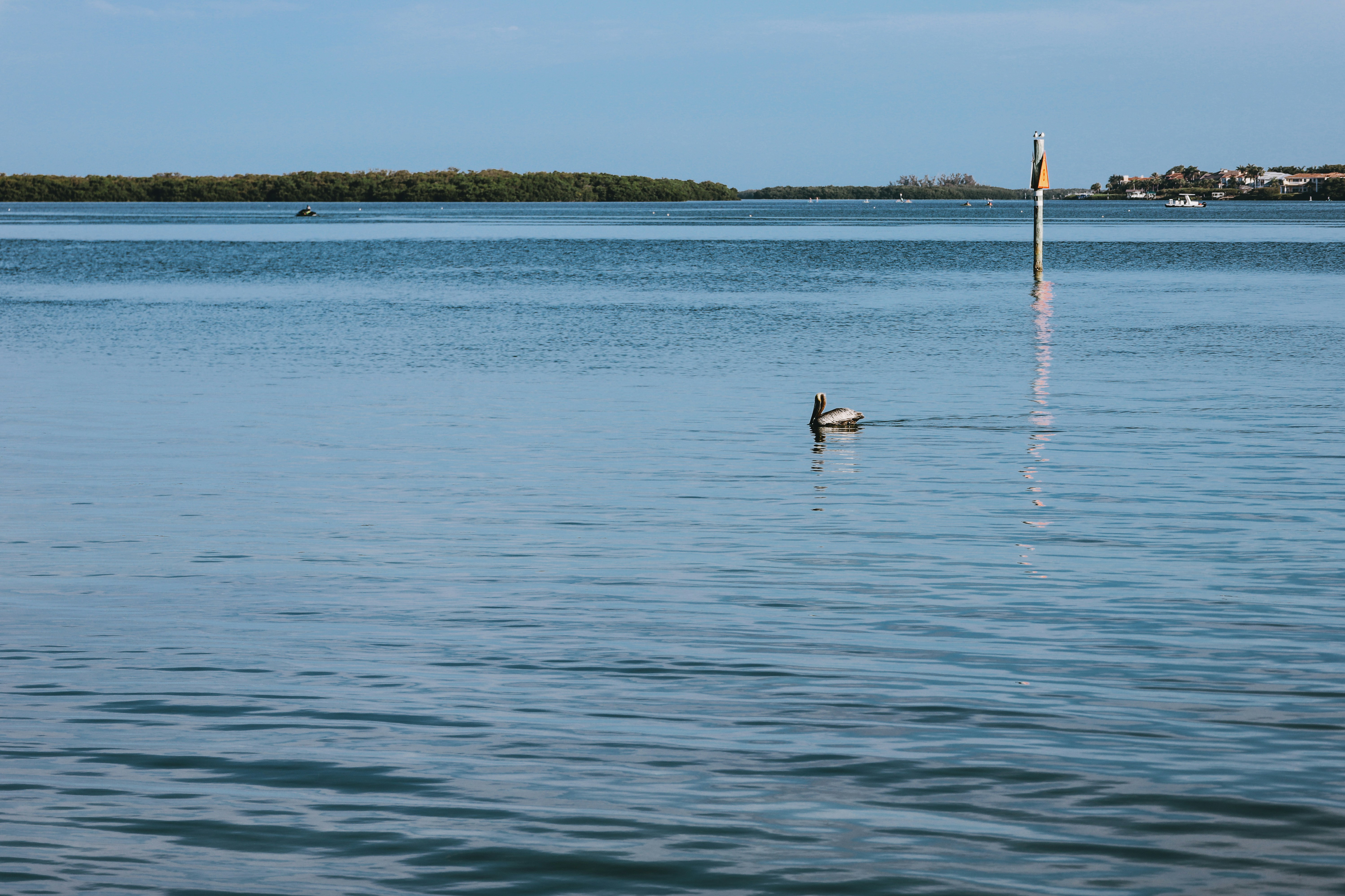 Photo by rosemarymedia