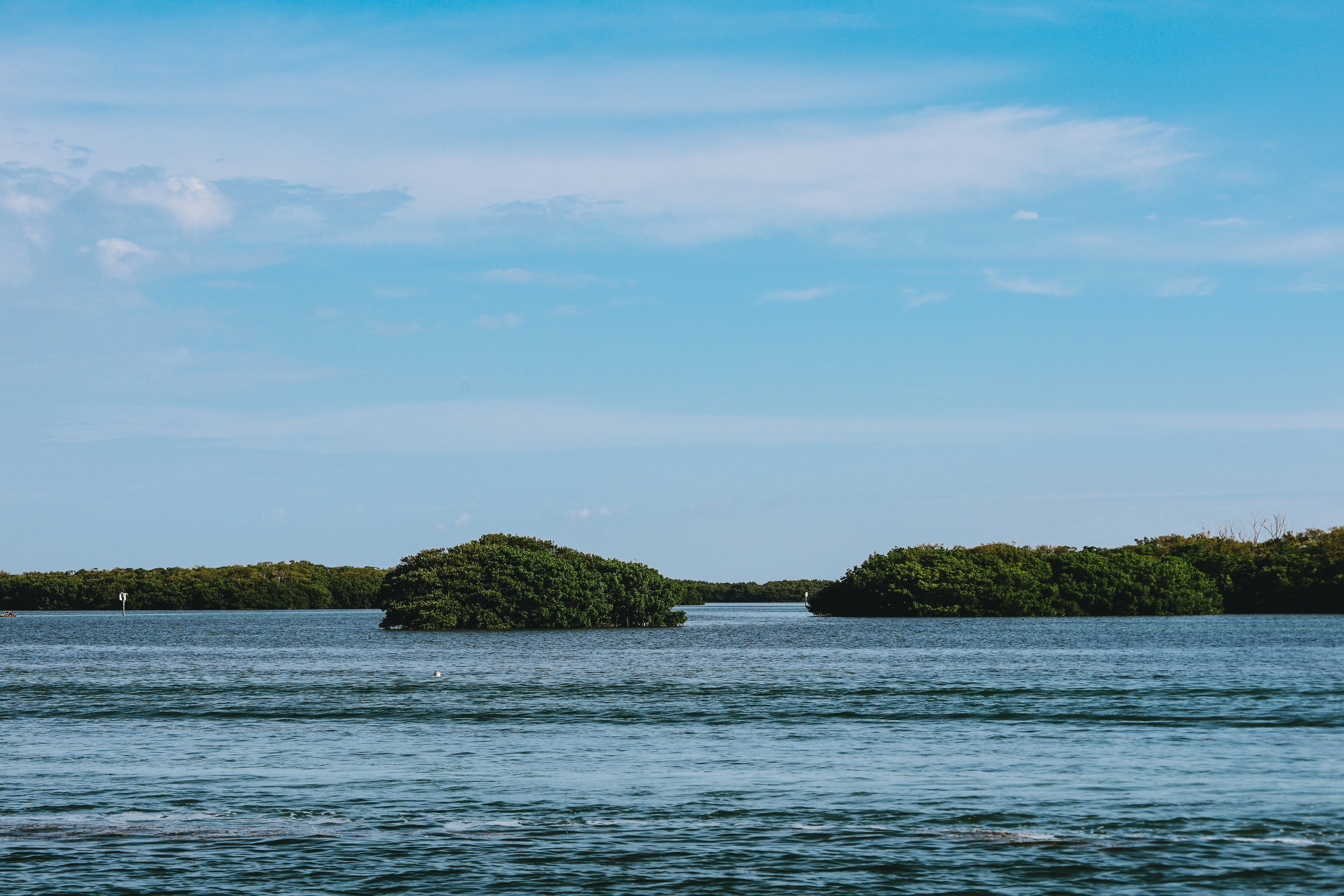 Photo by rosemarymedia