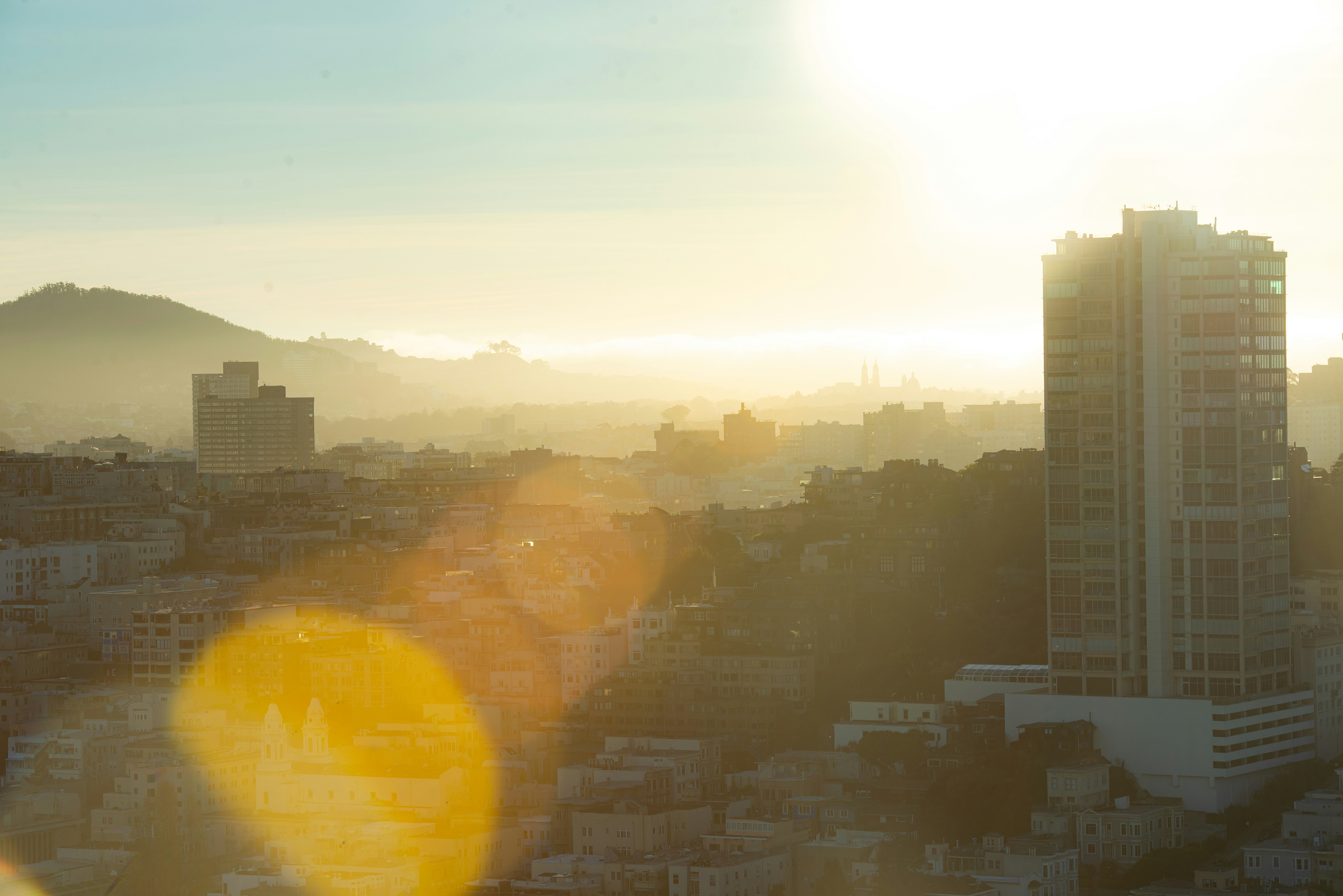 San Francisco: A Local's Guide