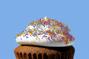 Vanilla Swirl Cupcake