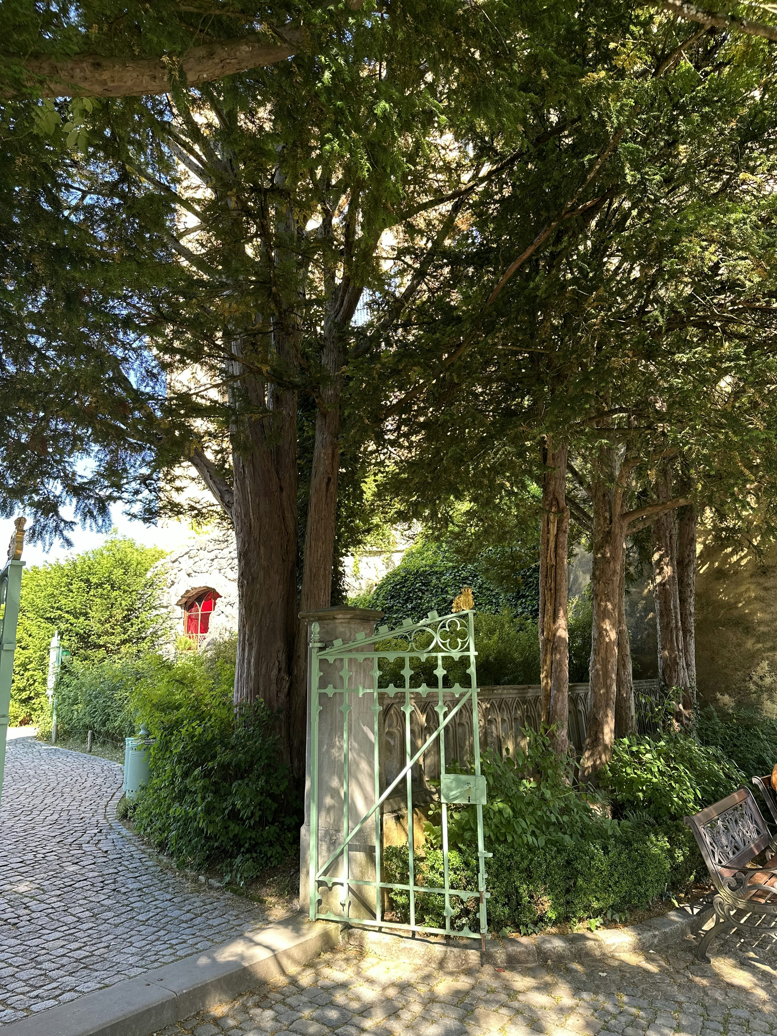 Photo by dagmarsadventure