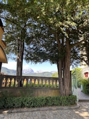 A tranquil garden scene featuring a paved stone pathway leading through a decorative iron gate. Tall, lush trees provide a canopy overhead, while a stone wall with gothic-style arch cutouts runs alongside. In the background, distant mountain peaks are visible under a clear blue sky.