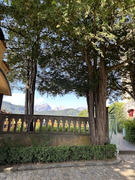 A tranquil garden scene featuring a paved stone pathway leading through a decorative iron gate. Tall, lush trees provide a canopy overhead, while a stone wall with gothic-style arch cutouts runs alongside. In the background, distant mountain peaks are visible under a clear blue sky.