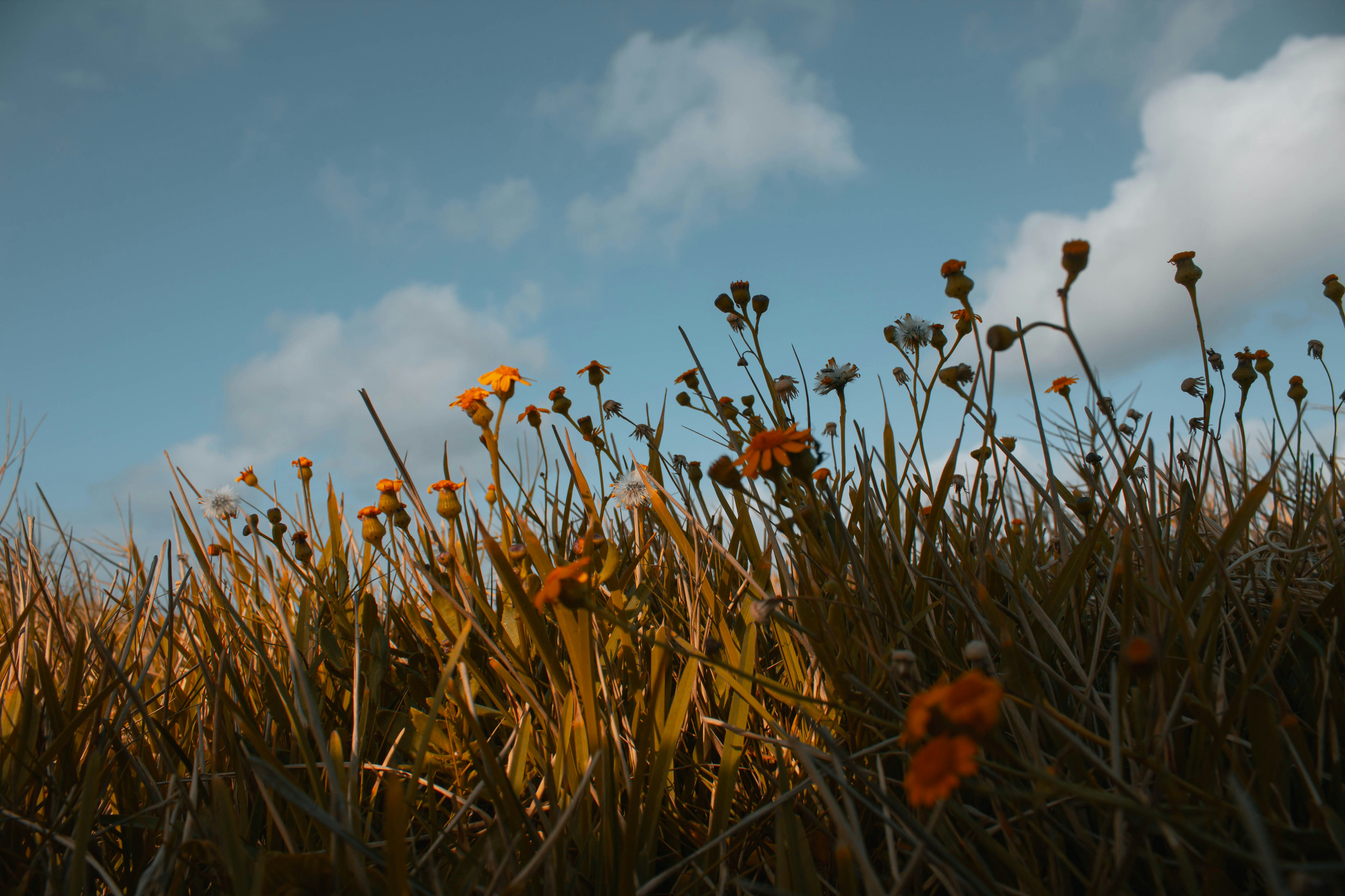 Photo by jerryneedscoffee