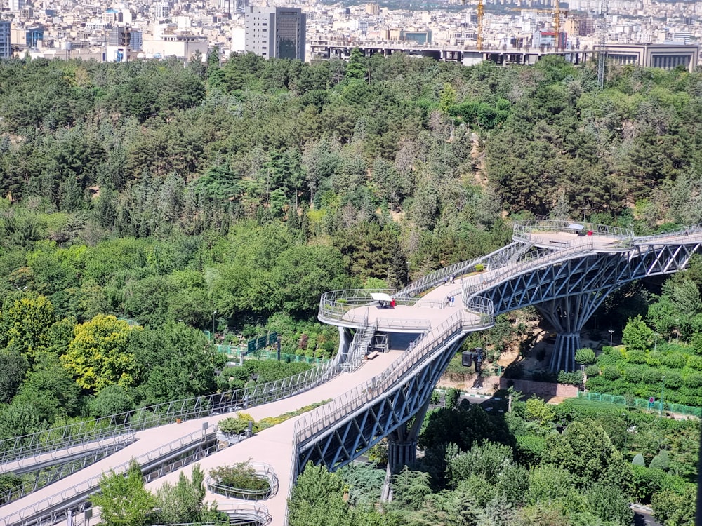 a view of a bridge in the middle of a forest