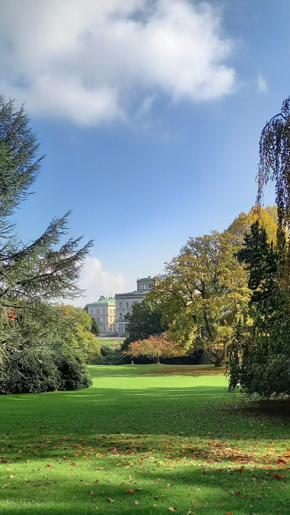 a green field with trees and a building in the background