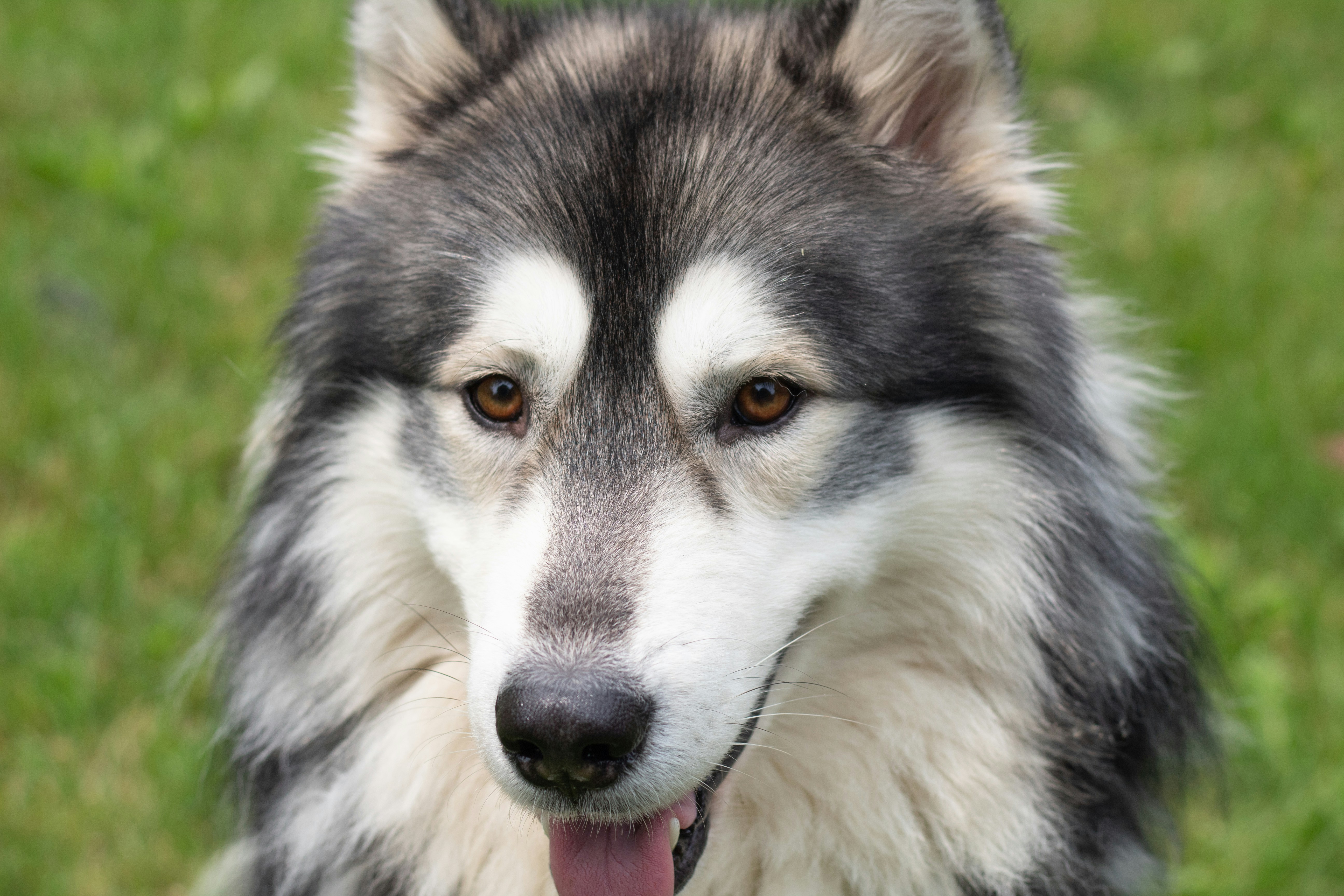 Photo by randomdude_707