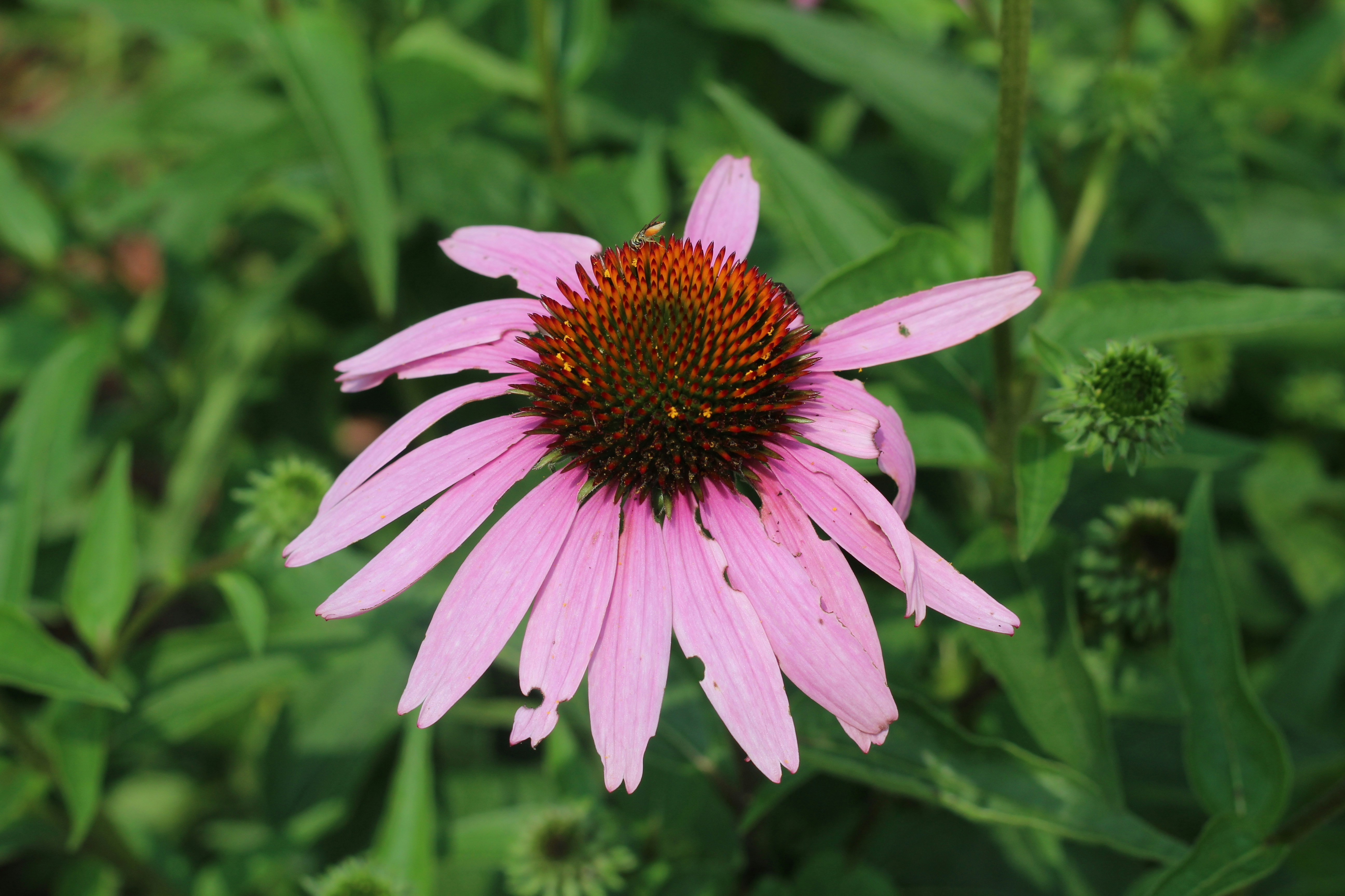 Photo by randomdude_707