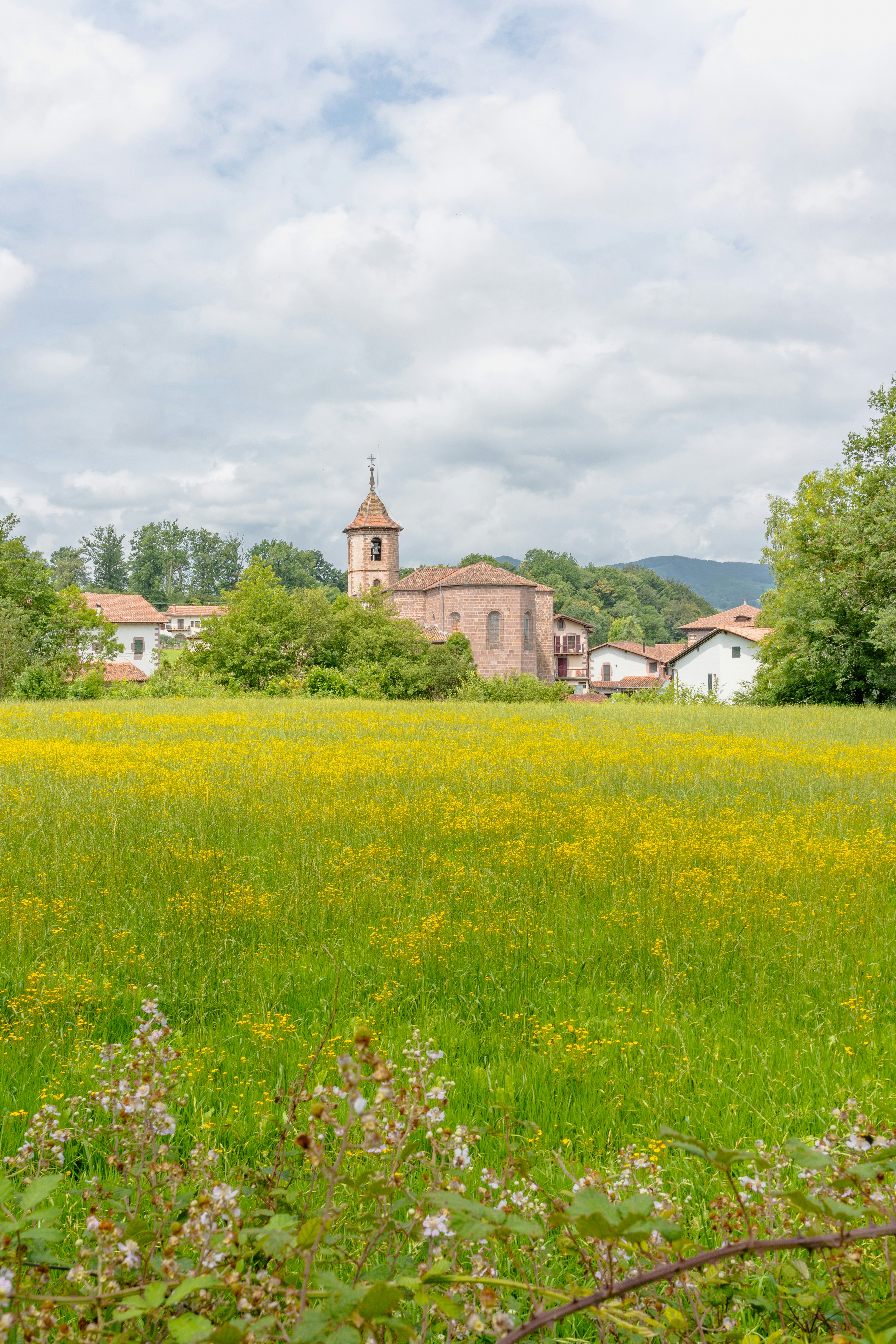 Photo by santiagoboada