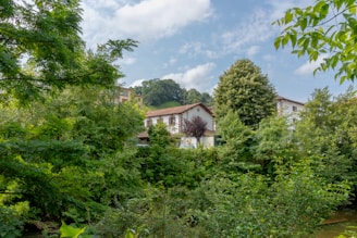 a house in the middle of a wooded area