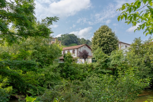 a house in the middle of a wooded area