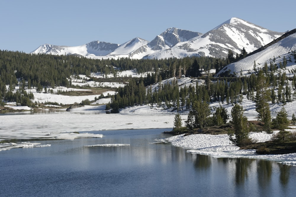 Un lago rodeado de montañas cubiertas de nieve y árboles de hoja perenne
