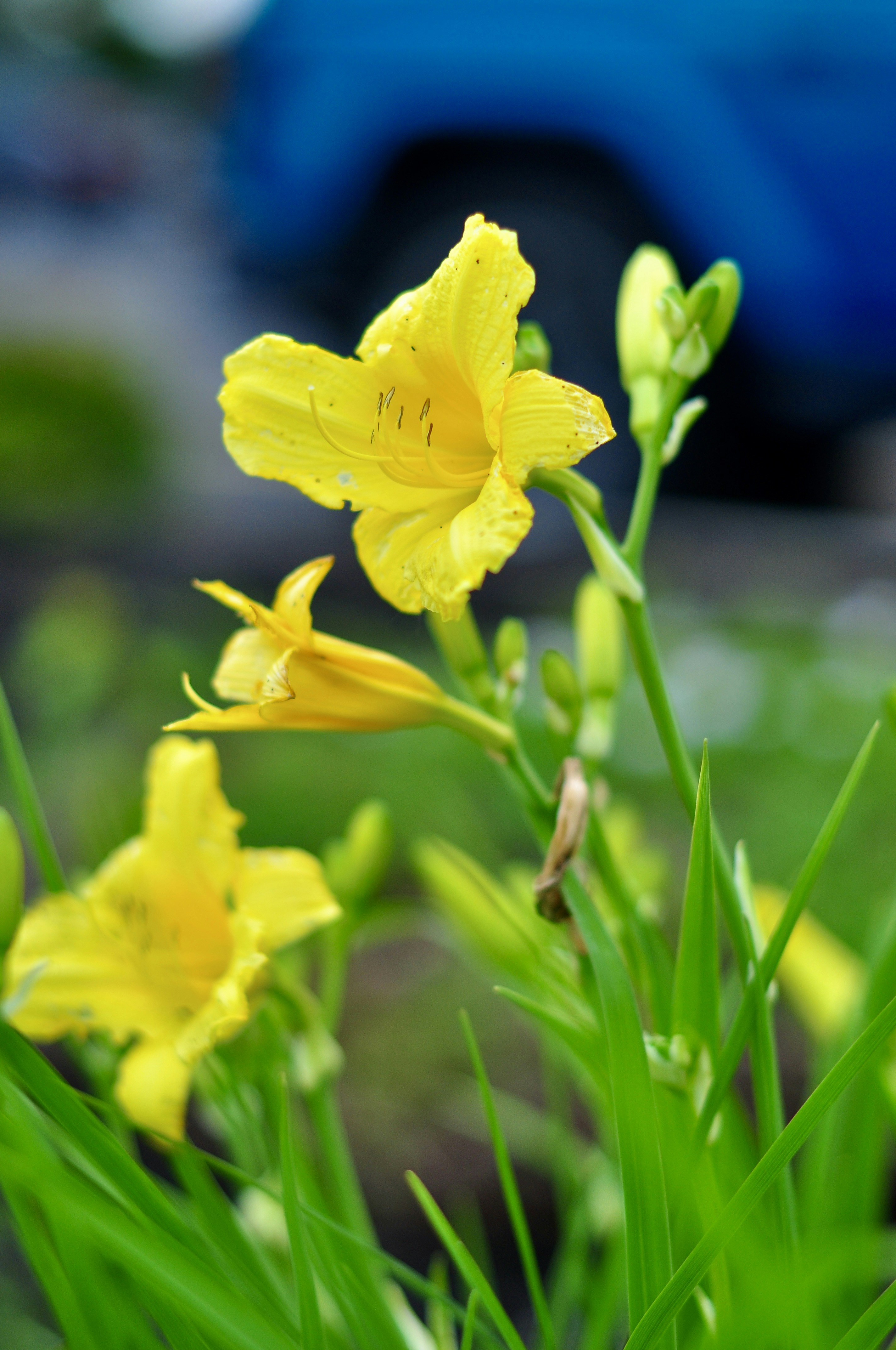 Photo by cameramandan83