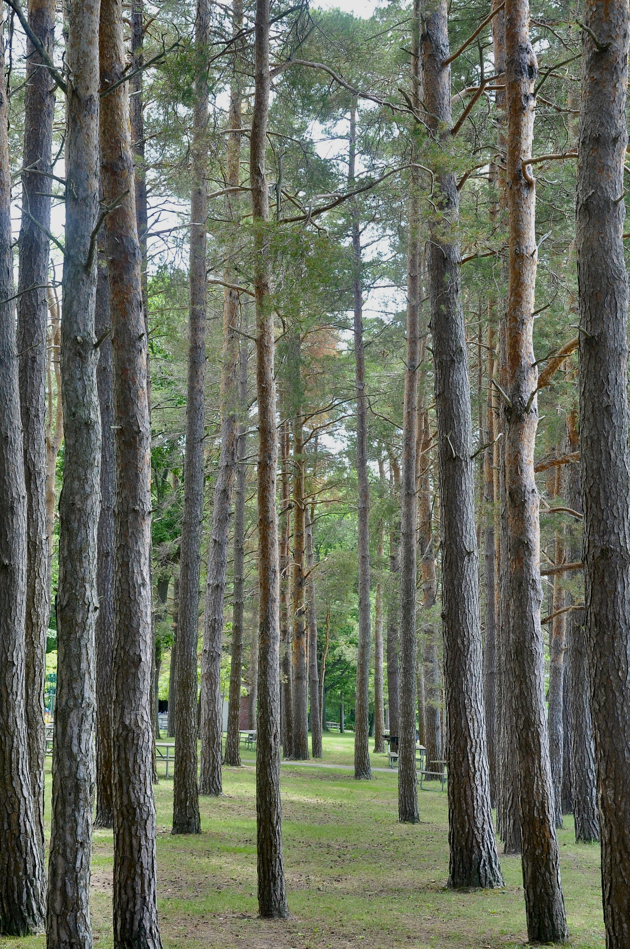 Photo by cameramandan83