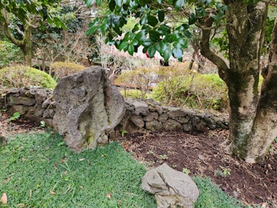 Close-up of a beautifully landscaped area featuring natural stone and vibrant plants.