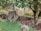 A garden scene featuring a large rock, a stone wall, and several trees and shrubs. The ground is partially covered with grass and soil. The foliage is lush with various shades of green, and there is a sense of calm and natural beauty.