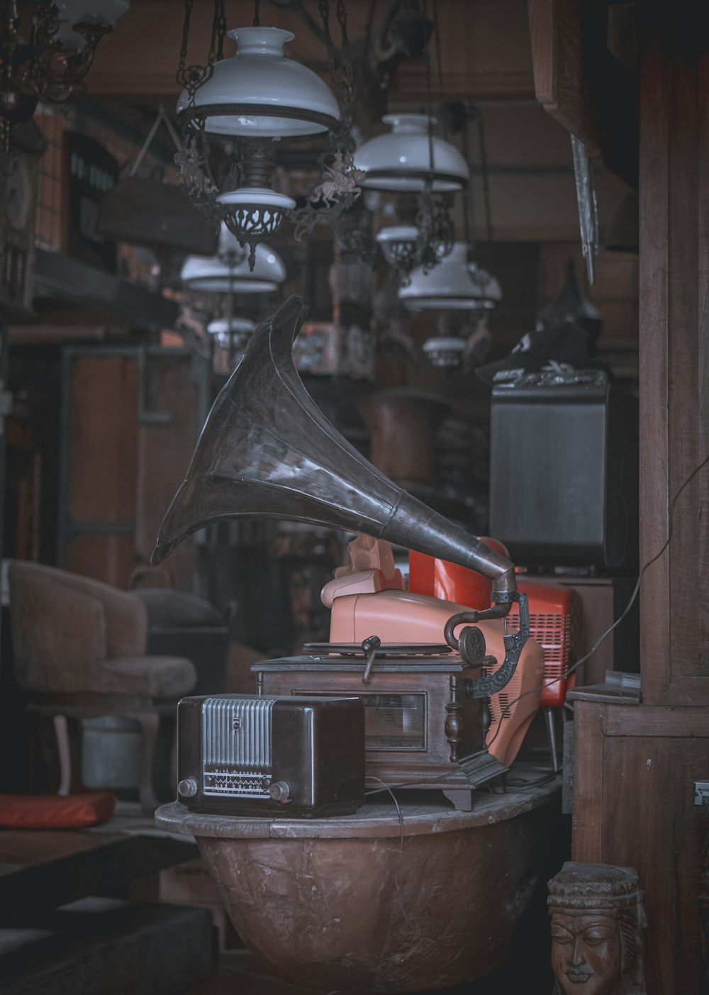 a large horn sitting on top of a wooden table