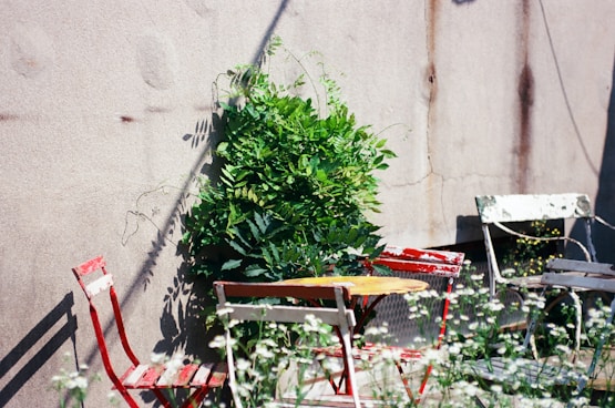 a couple of chairs sitting next to each other near a wall