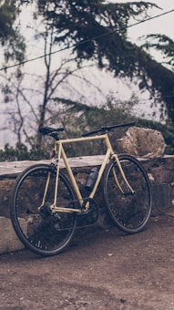 A vintage-style bicycle with a cream-colored frame leans against a stone wall. The background includes lush, slightly blurred greenery and tree branches, suggesting an outdoor setting with a serene and natural atmosphere.