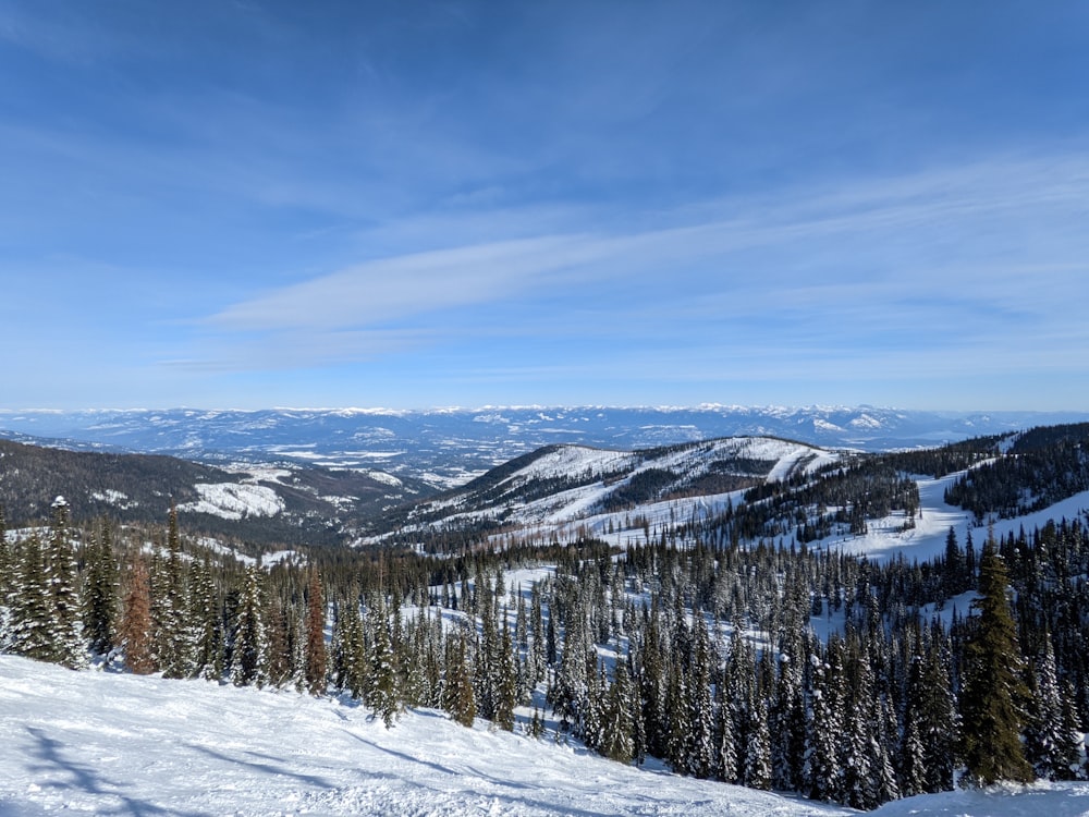 a view of a snowy mountain with trees and mountains in the background