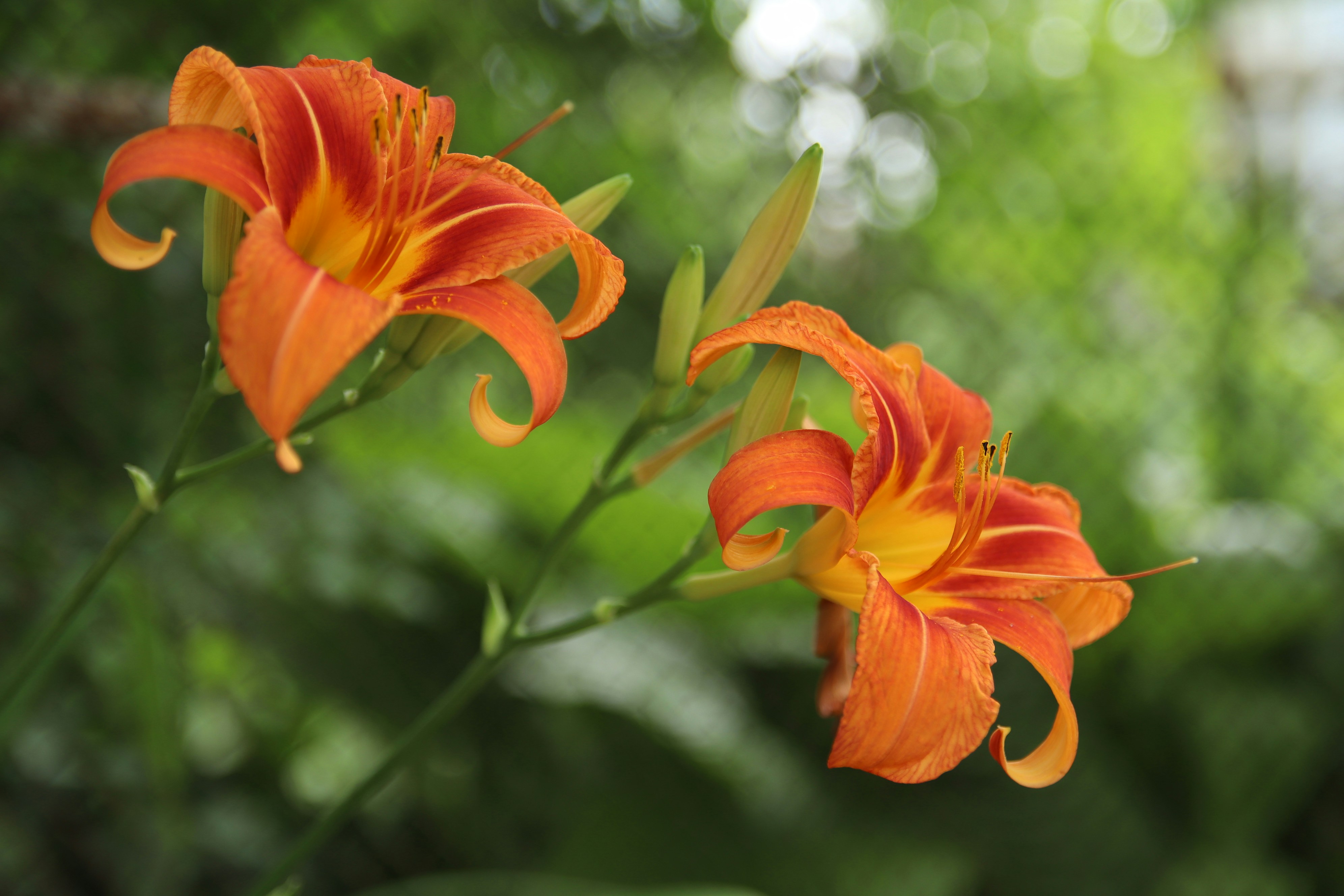 Photo by feeling_hope