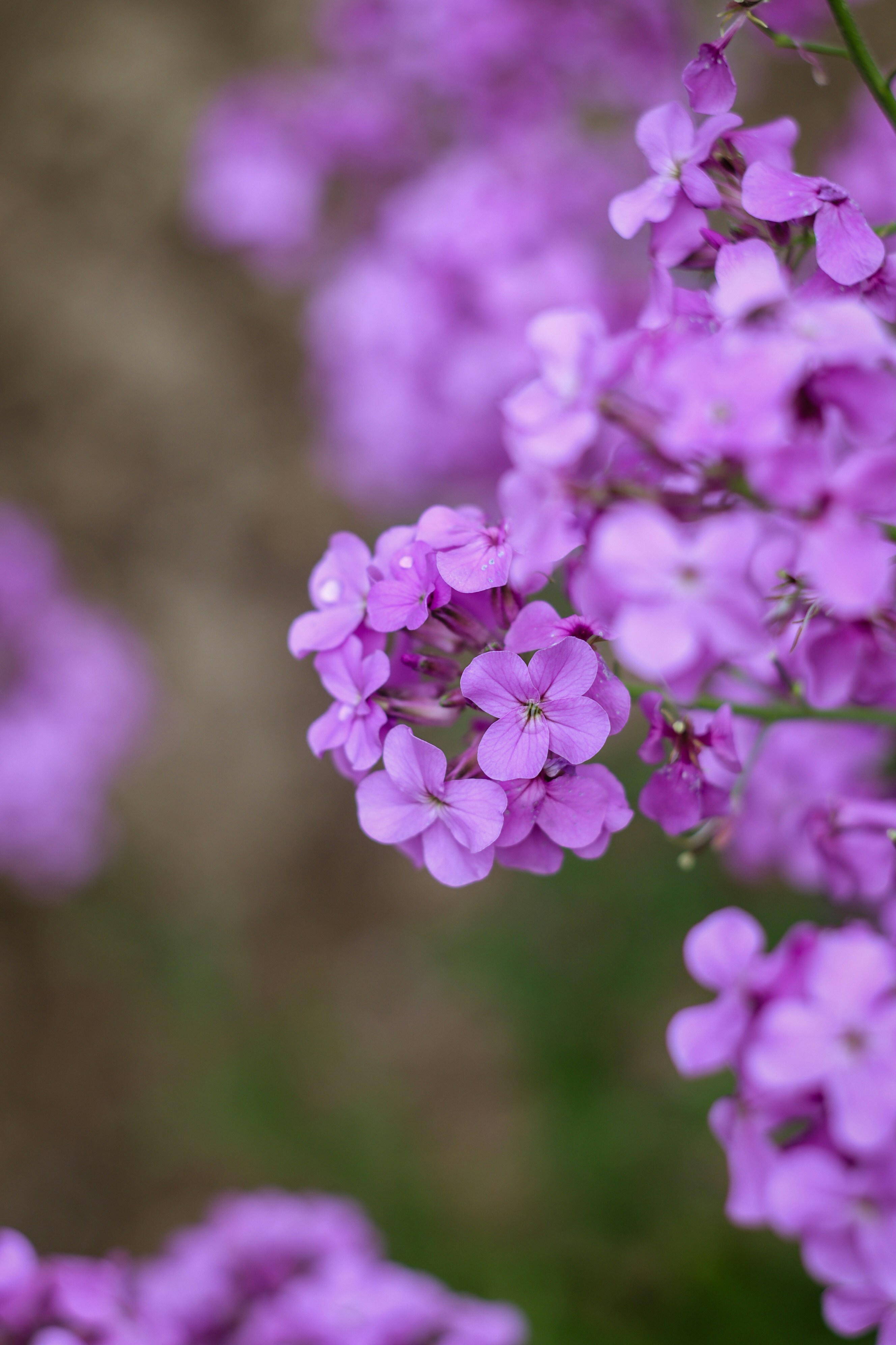 Photo by feeling_hope