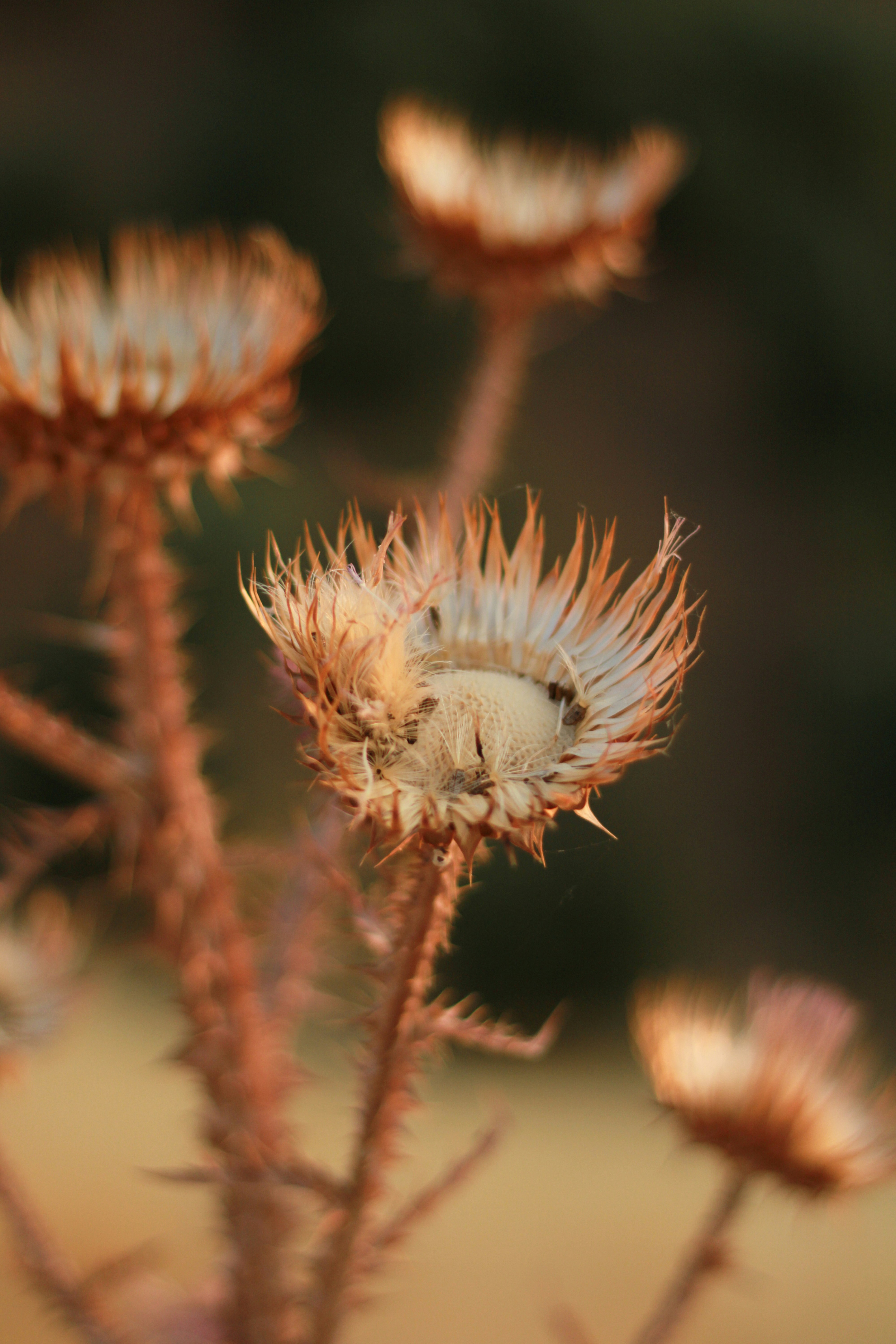 Photo by take_a_picture