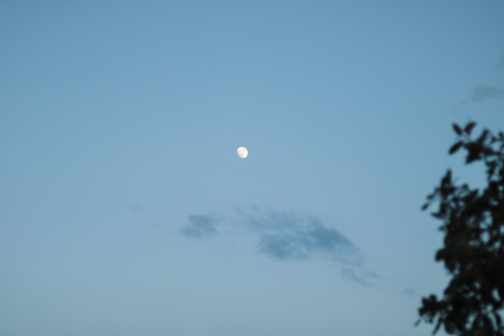 a view of the moon through some trees