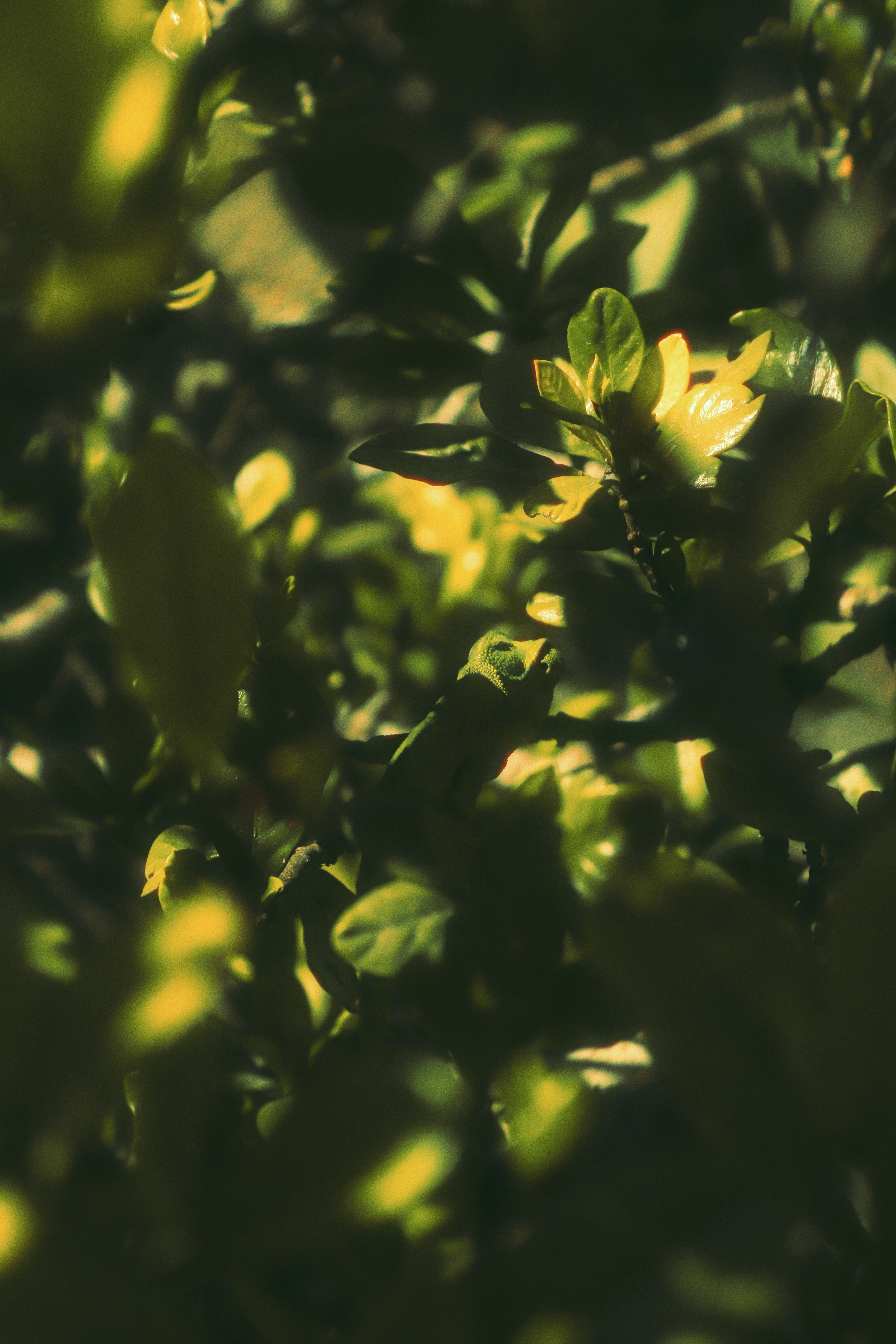 Photo by sweatyhands