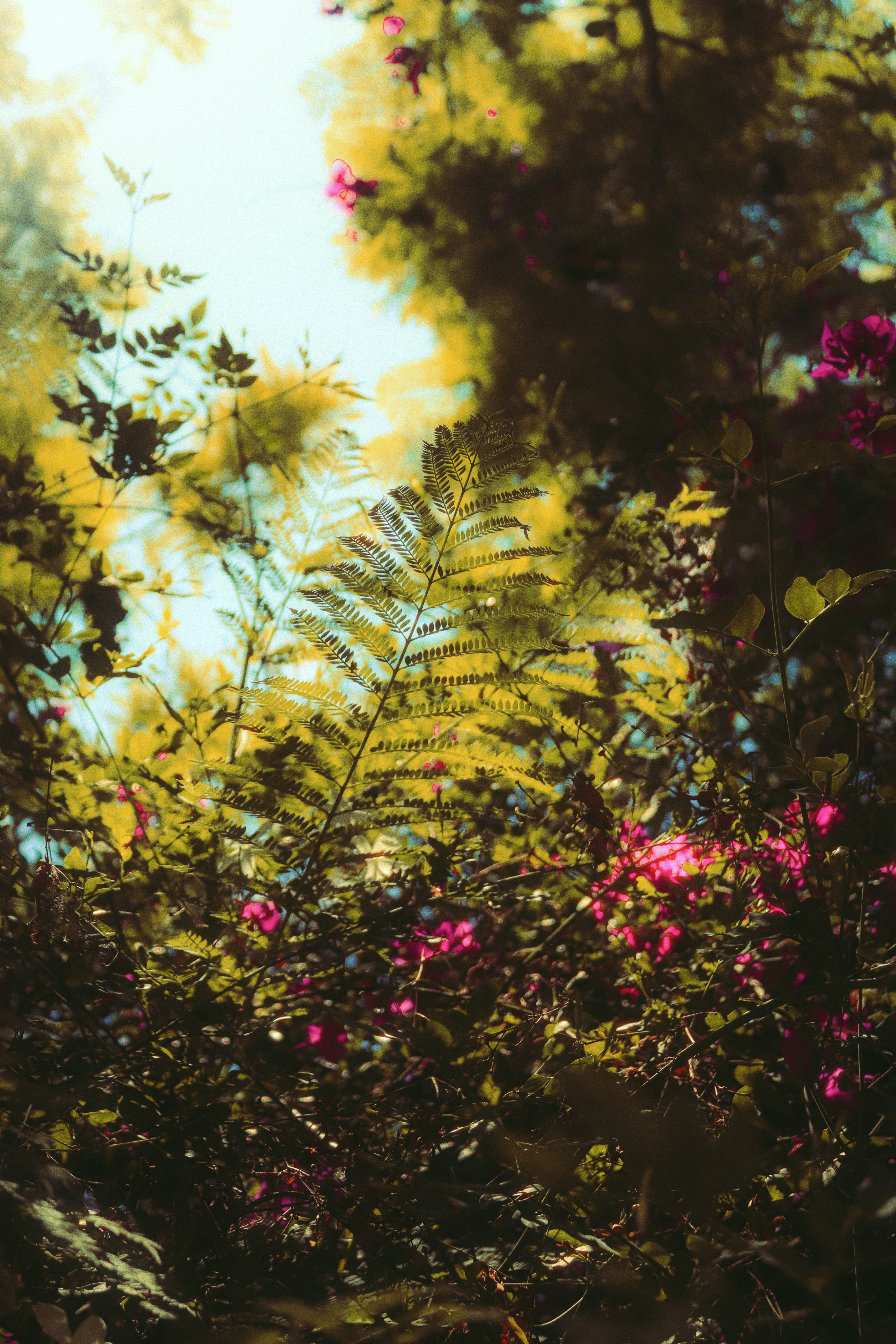 Photo by sweatyhands