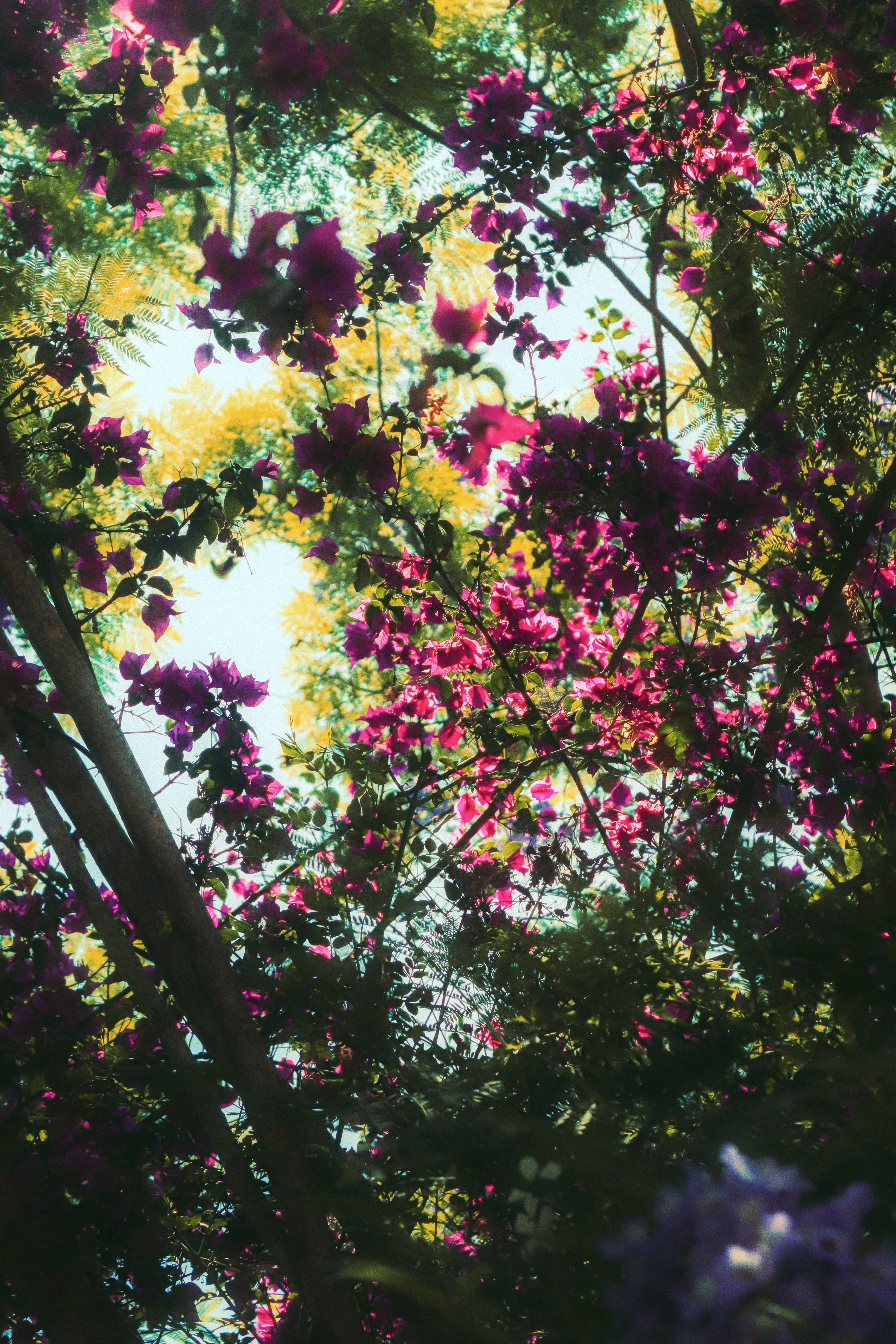 Photo by sweatyhands