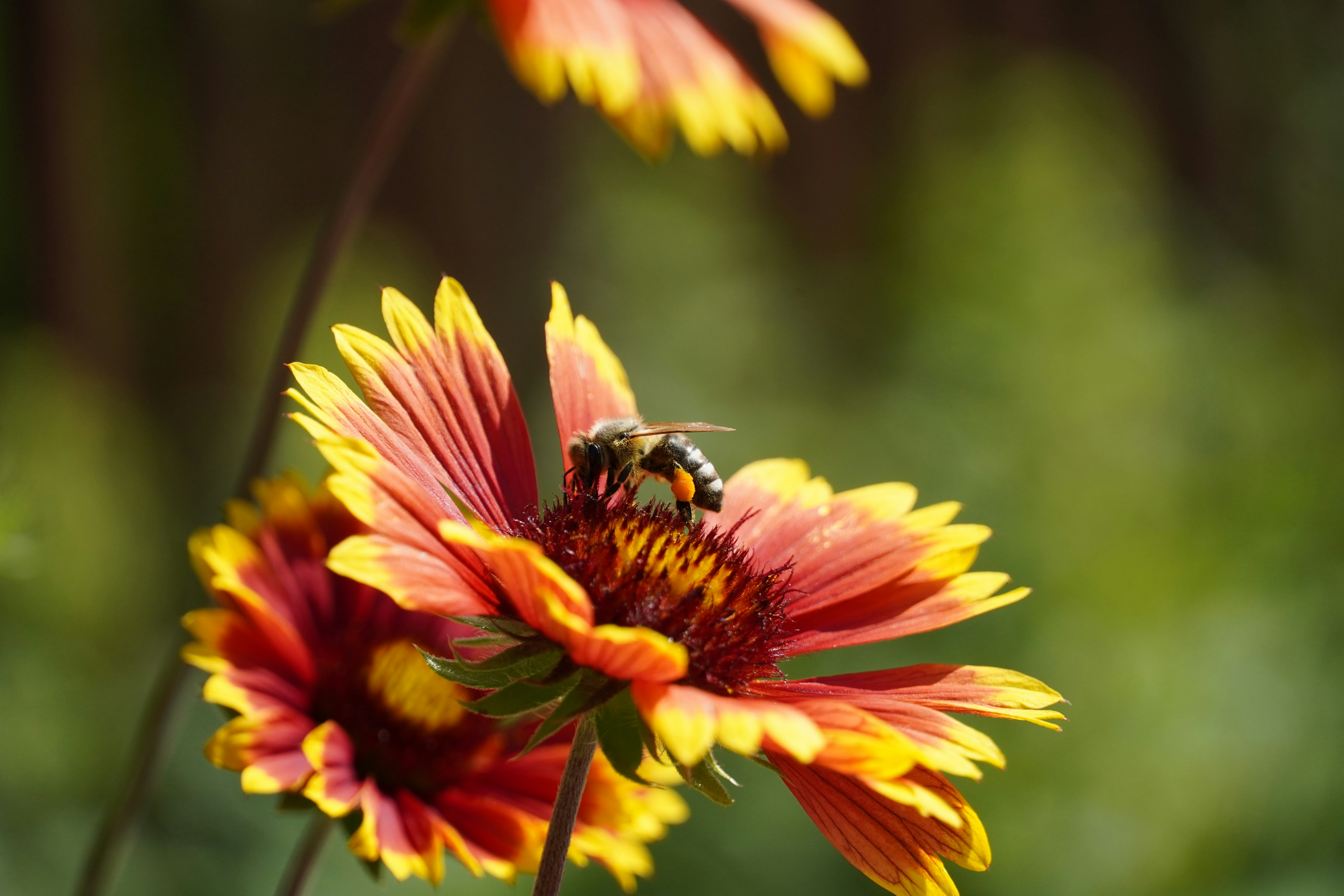 Photo by theodor_jacob