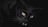 A whimsical black-and-white cartoon cat with glowing eyes and floating stars around it.
