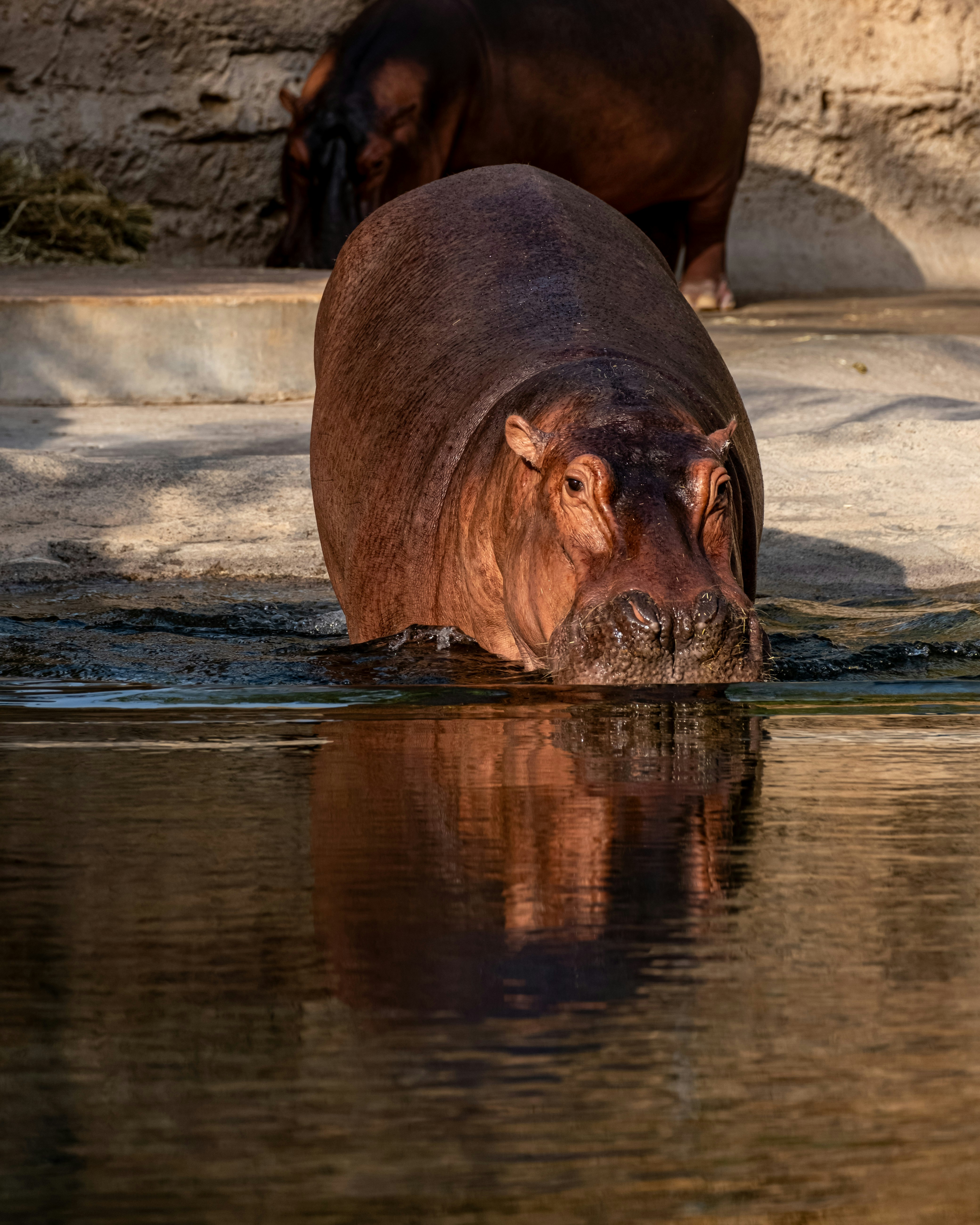 Photo by v91_photography