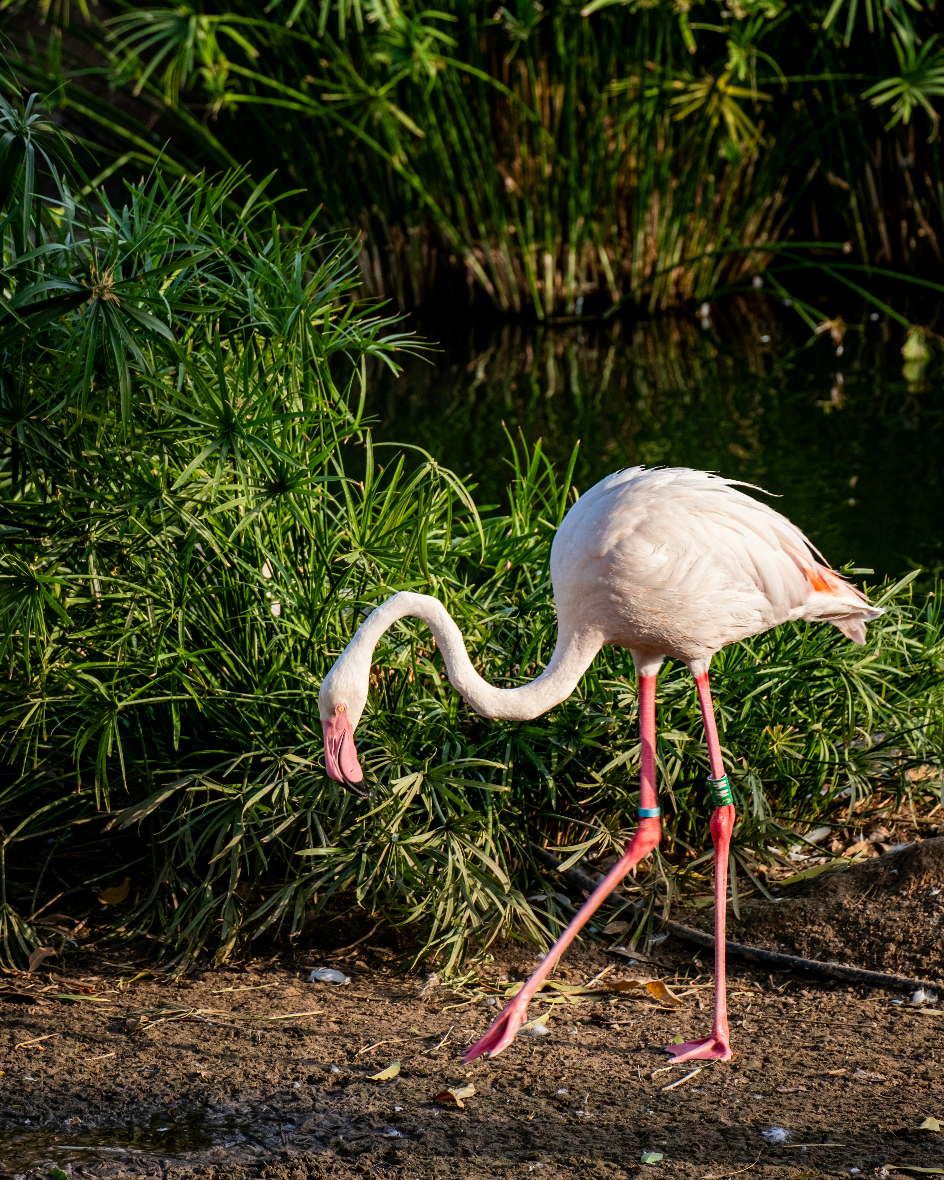 Photo by v91_photography