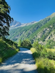 A scenic view of the Atlas Mountains with a winding path leading through lush greenery.