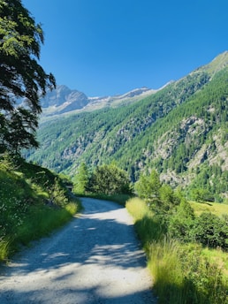 A scenic landscape featuring a winding gravel path that leads through lush greenery toward majestic mountains in the background. Trees and grass line the path, creating a serene and inviting natural setting under a clear blue sky.